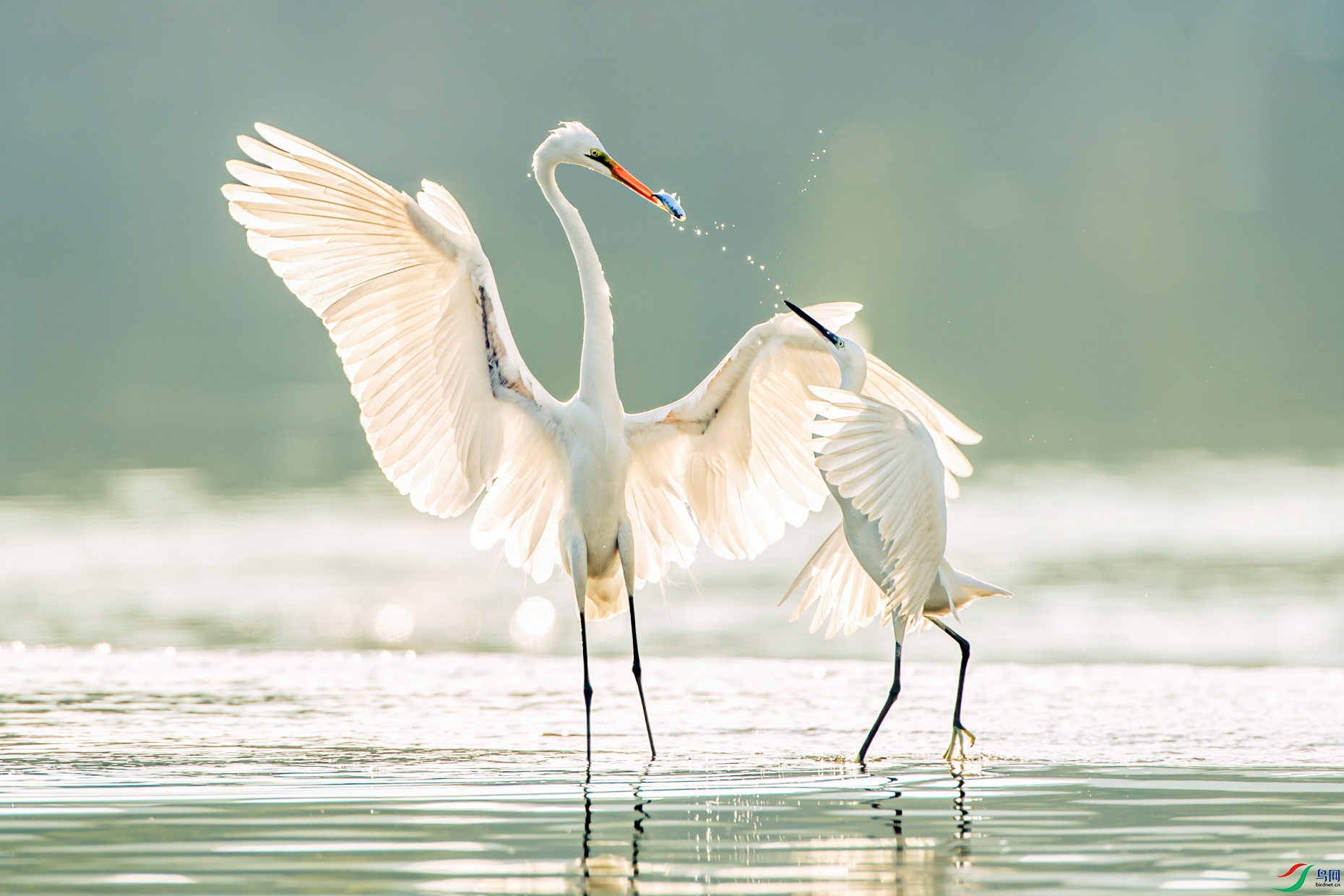 mmexport1666421891783 ����.jpg