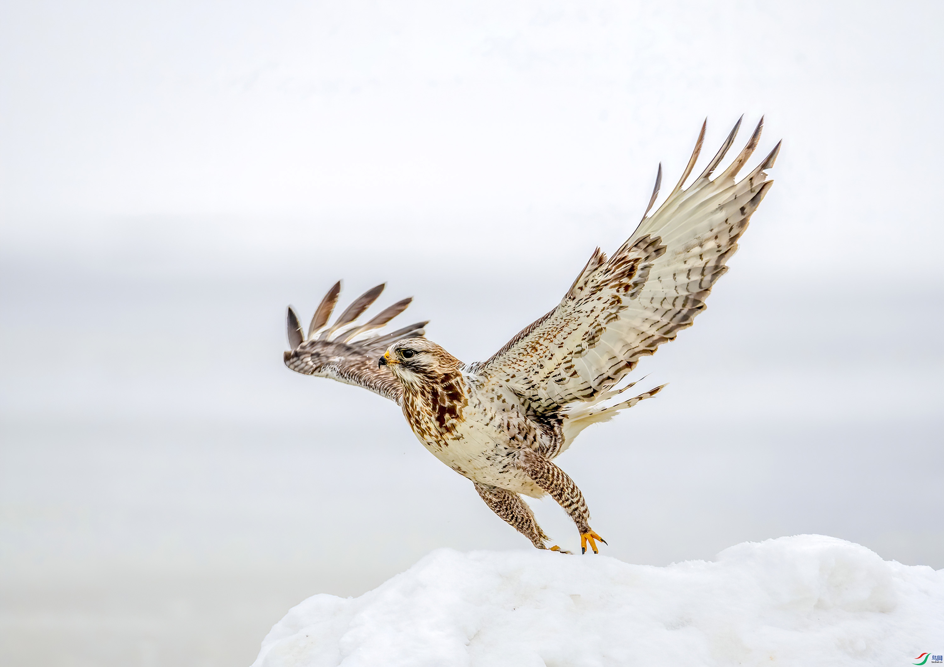 _JLN5951_1     ok.jpg