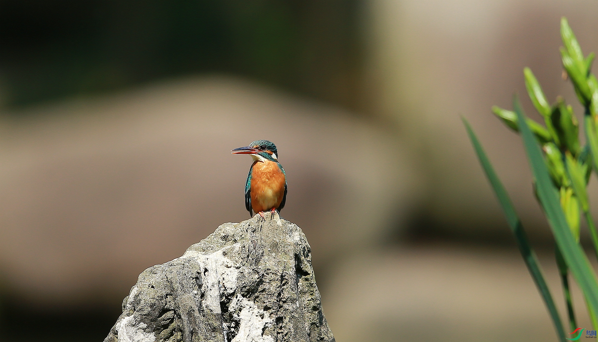 AY8Q6135_����.jpg