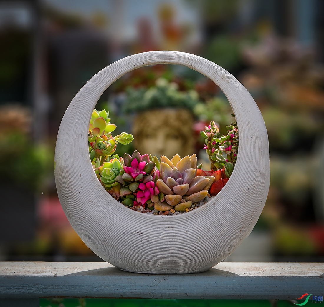 00000583A0614 800k.jpg