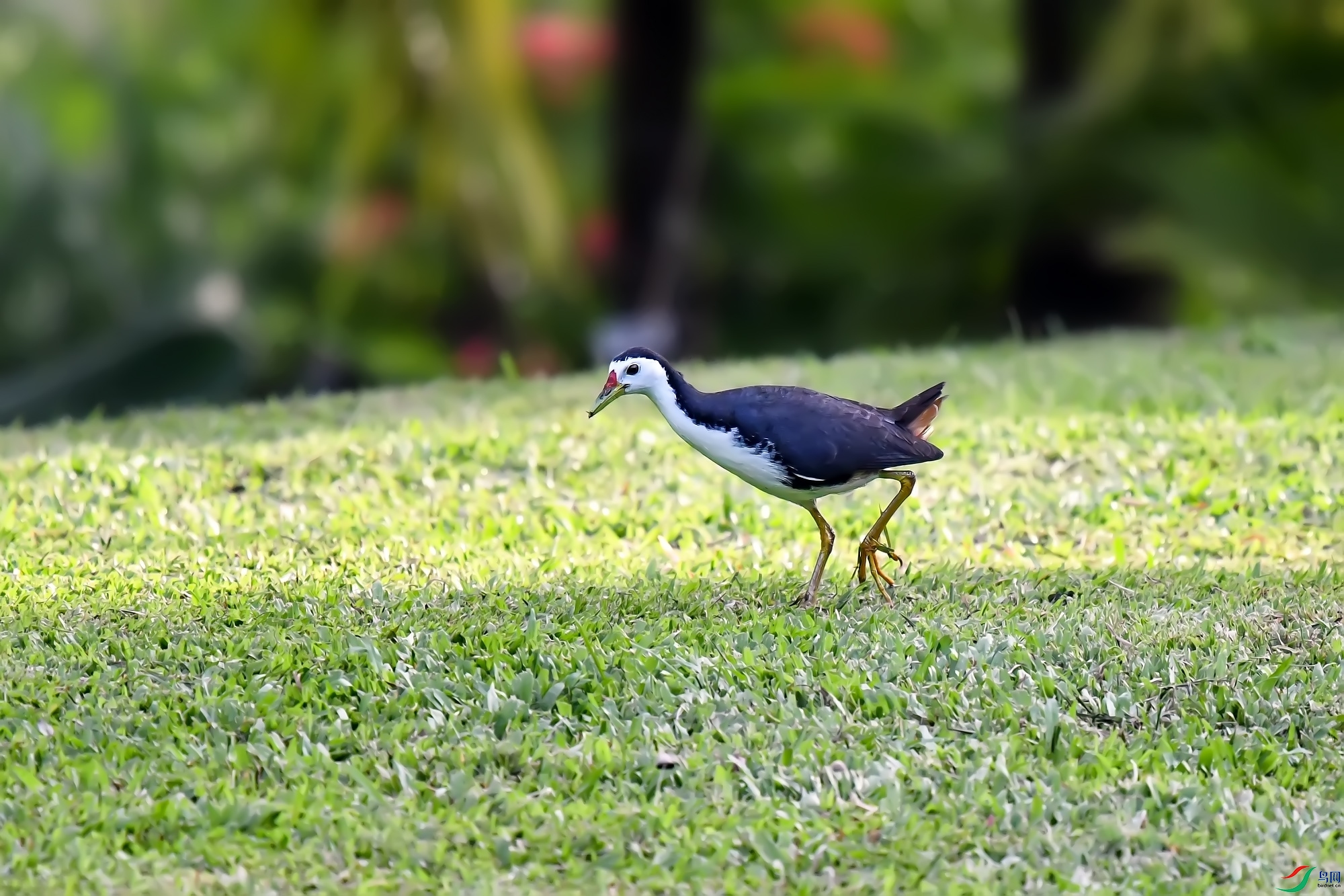 DSC_2686.jpg