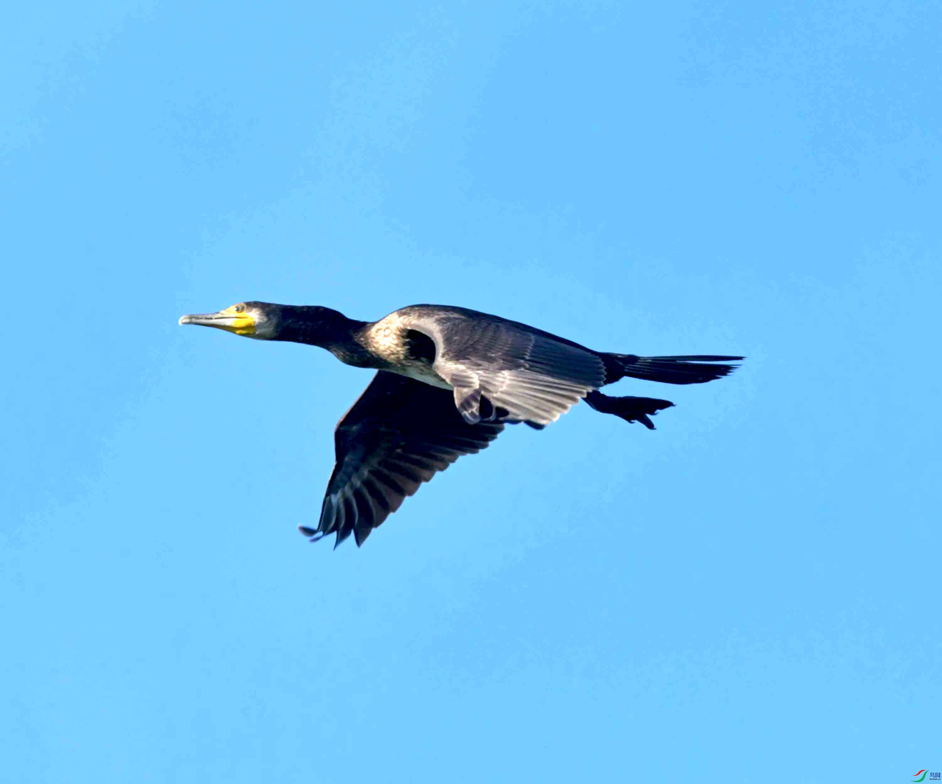DSC_2862.JPG