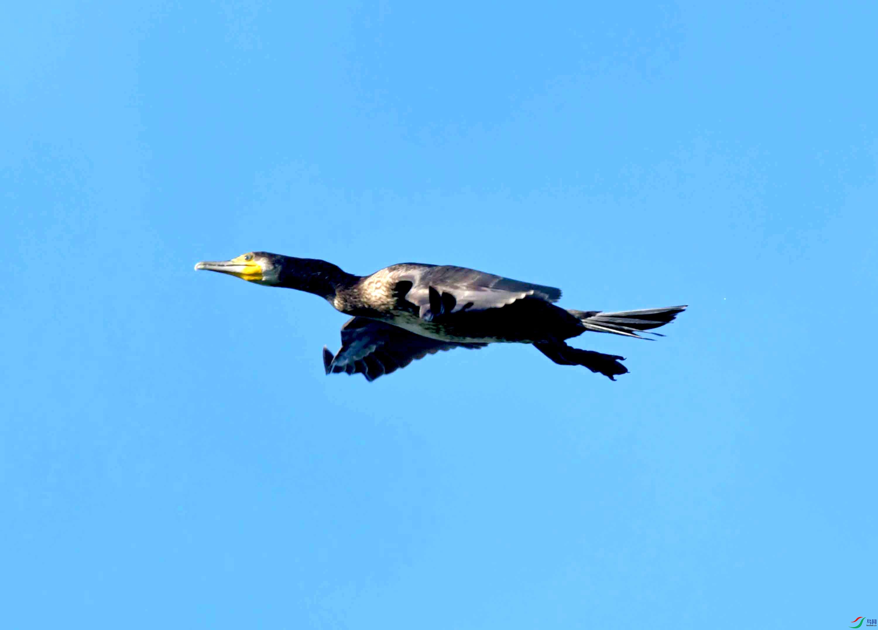 DSC_2860.JPG