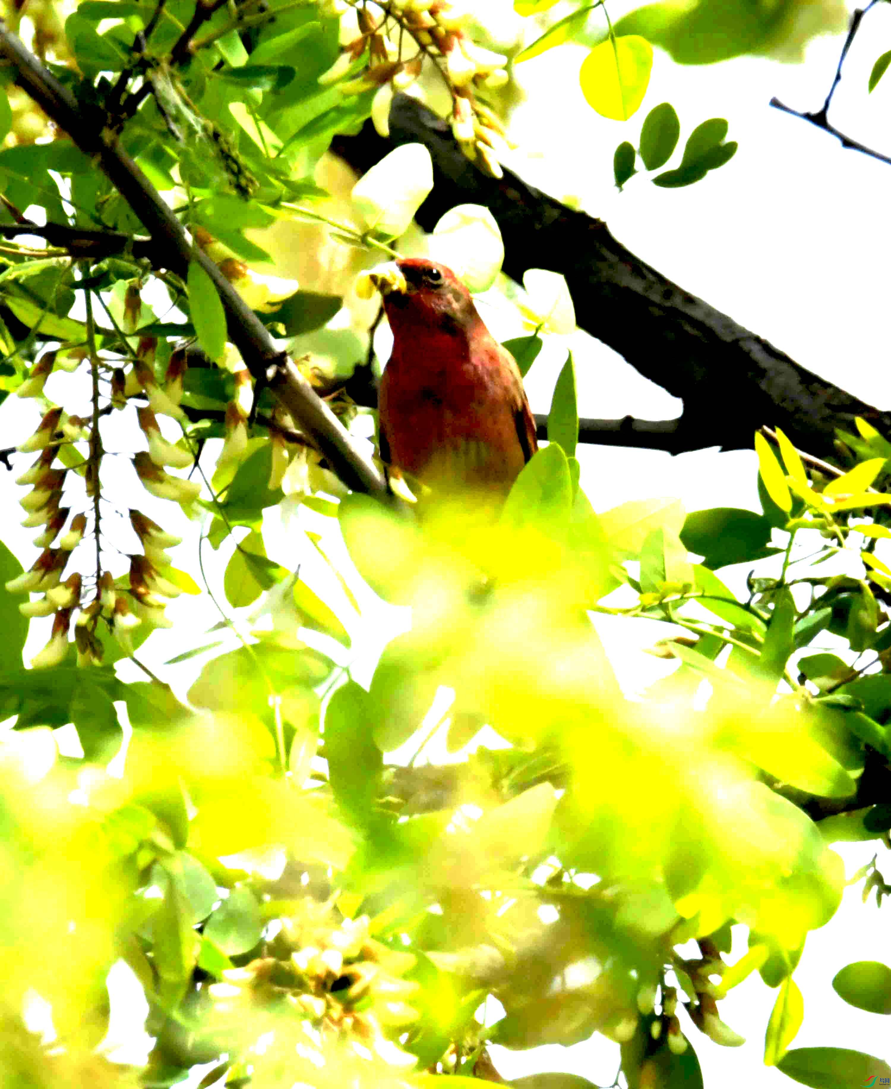 DSC_8158.JPG