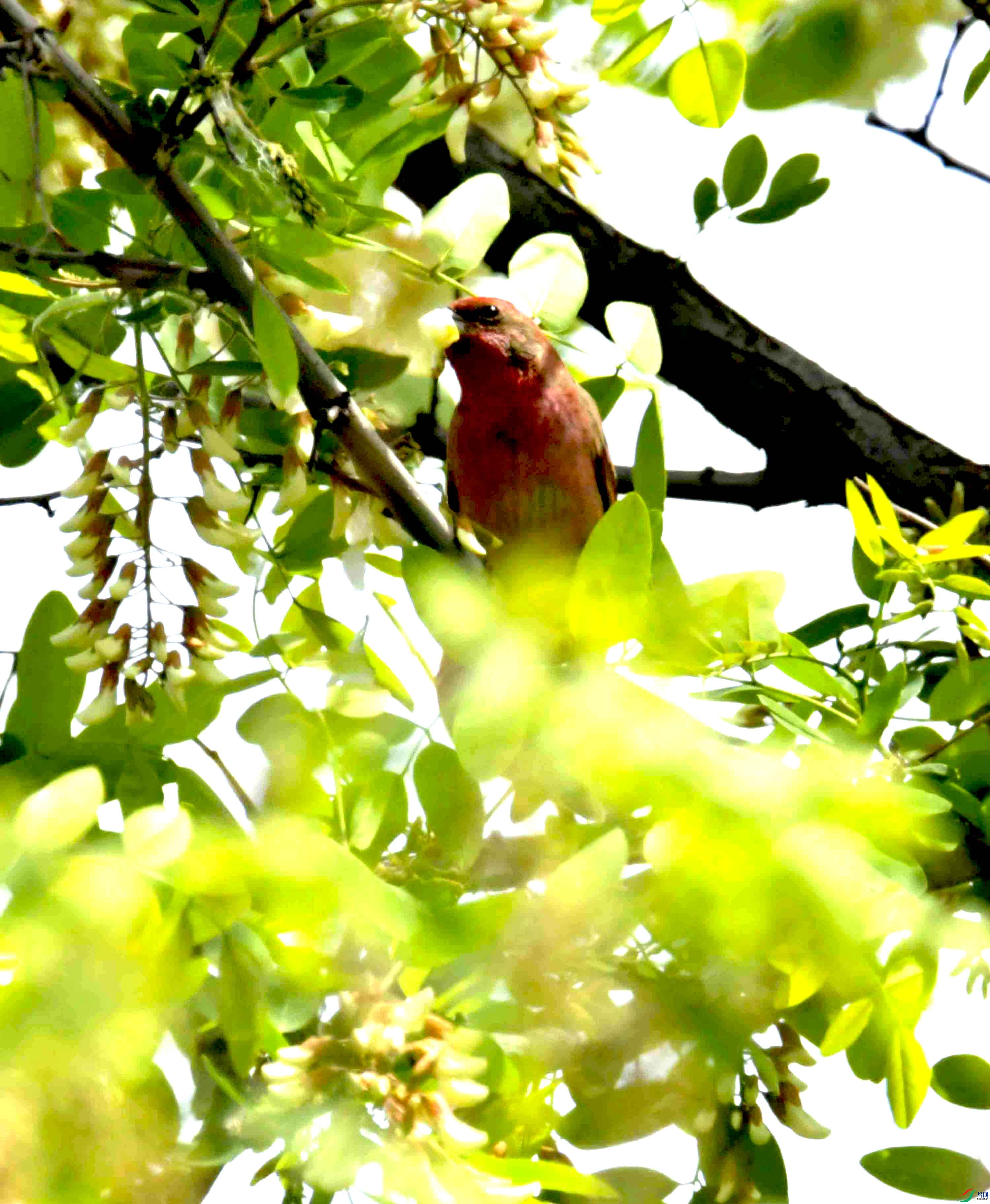 DSC_8163.JPG