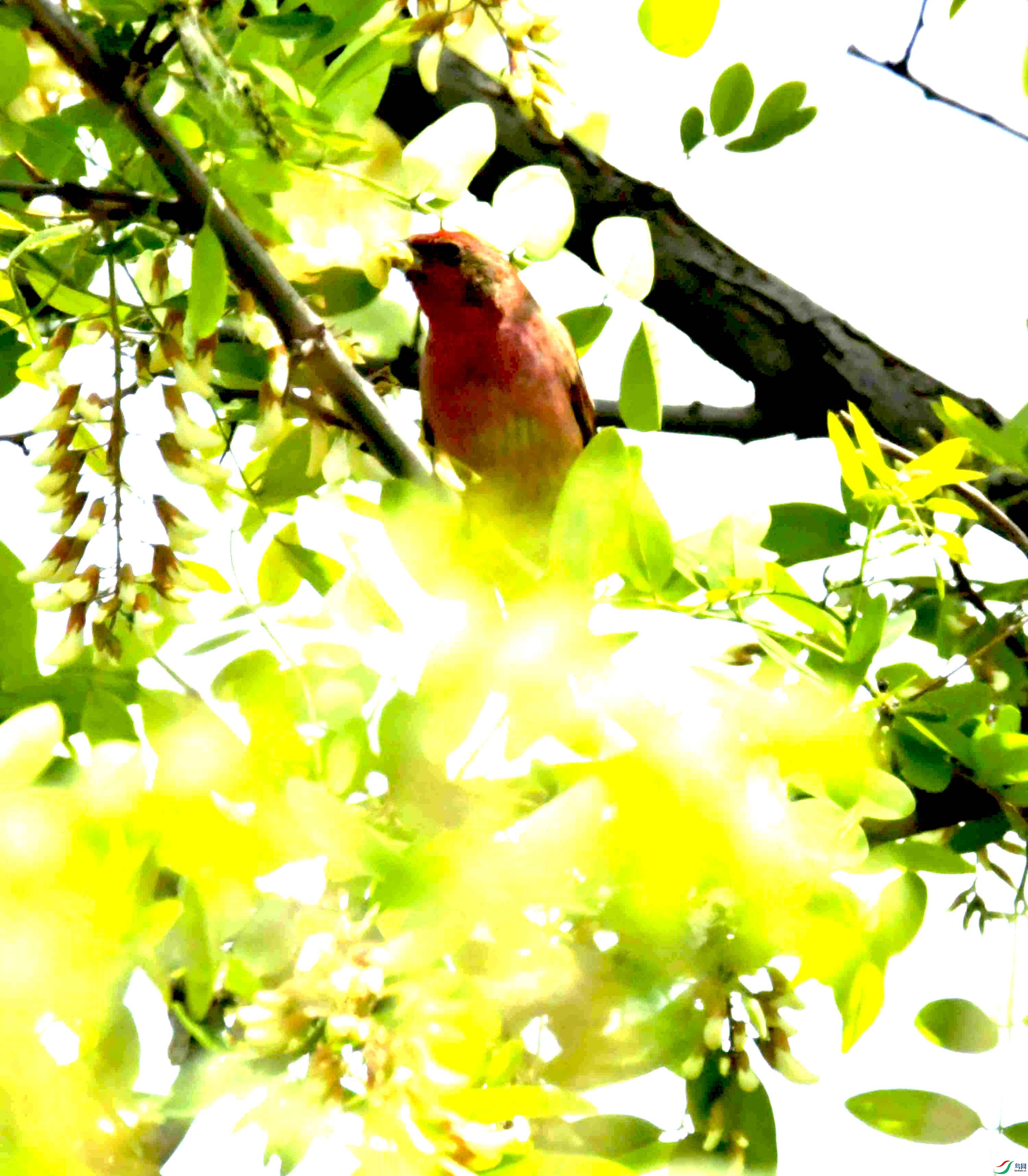 DSC_8157.JPG