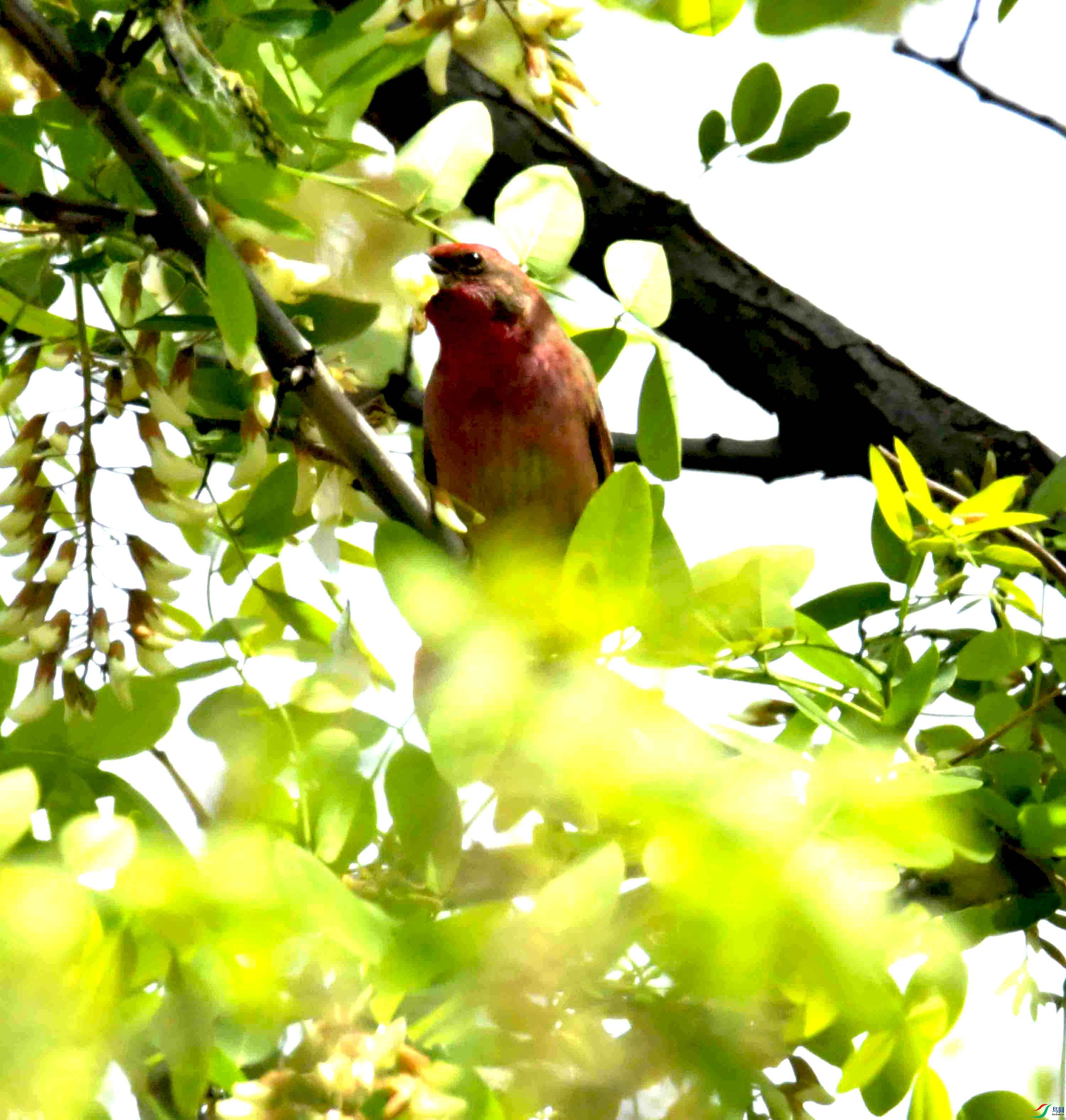 DSC_8164.JPG