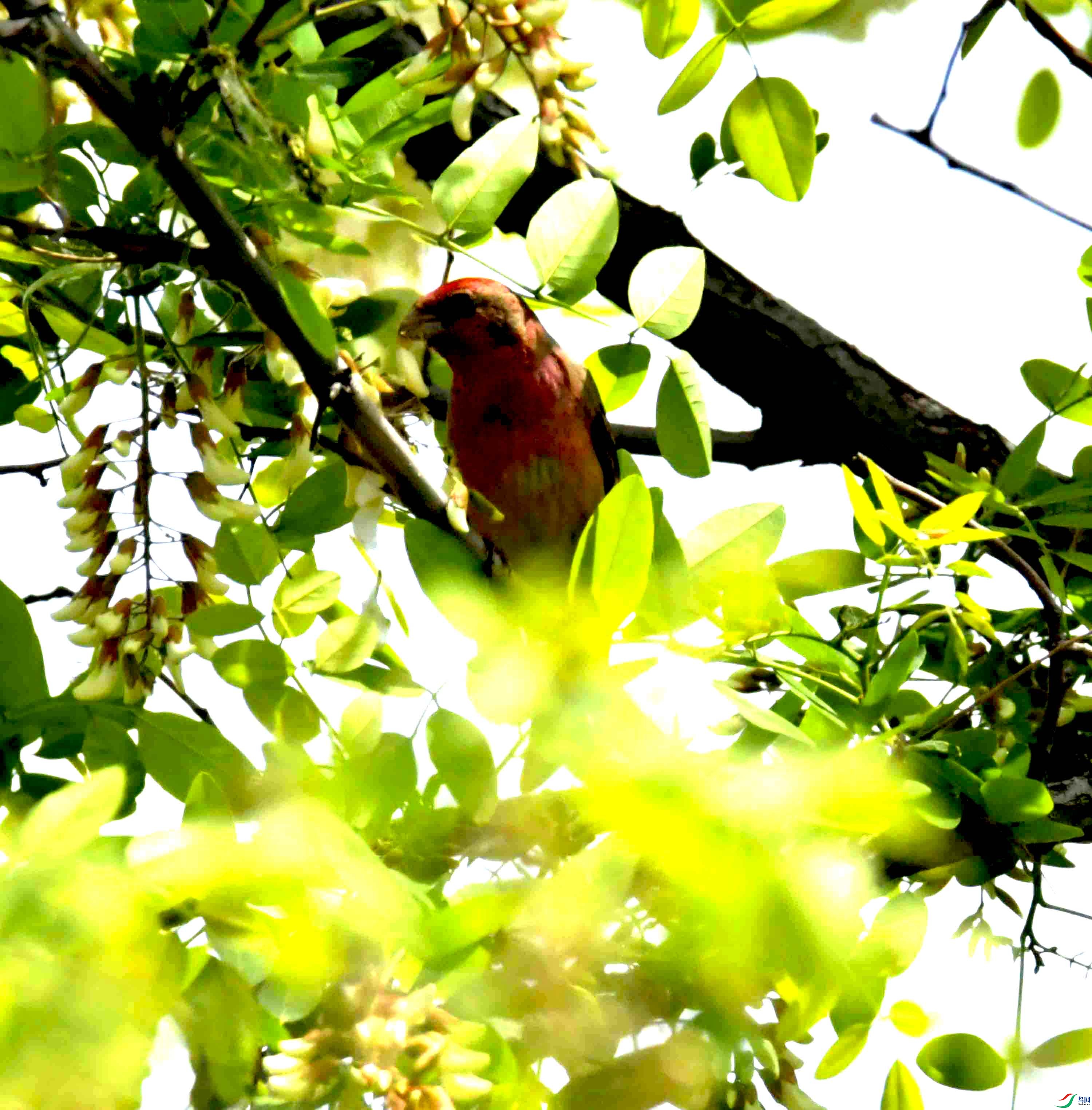 DSC_8189.JPG