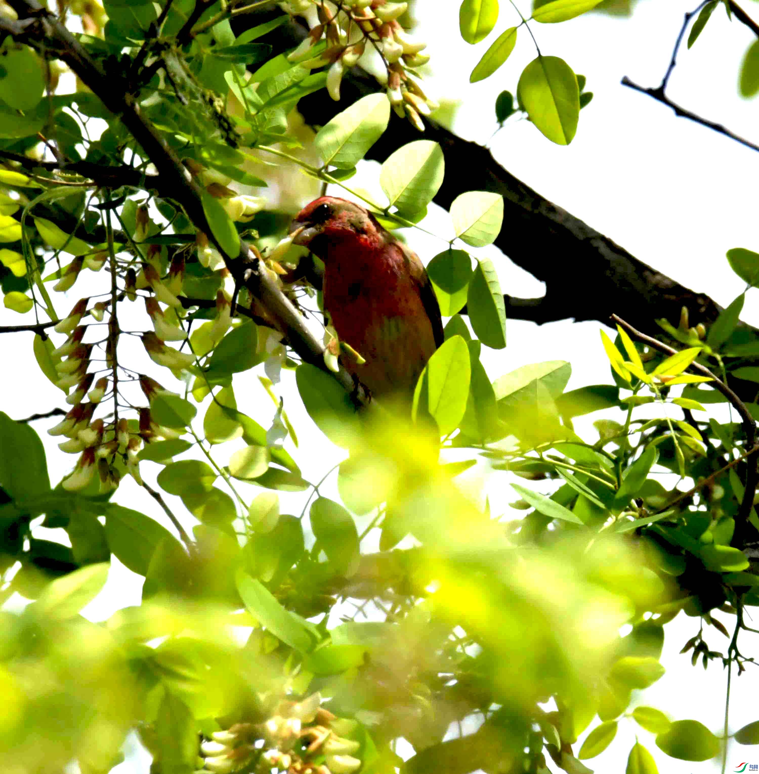 DSC_8212.JPG