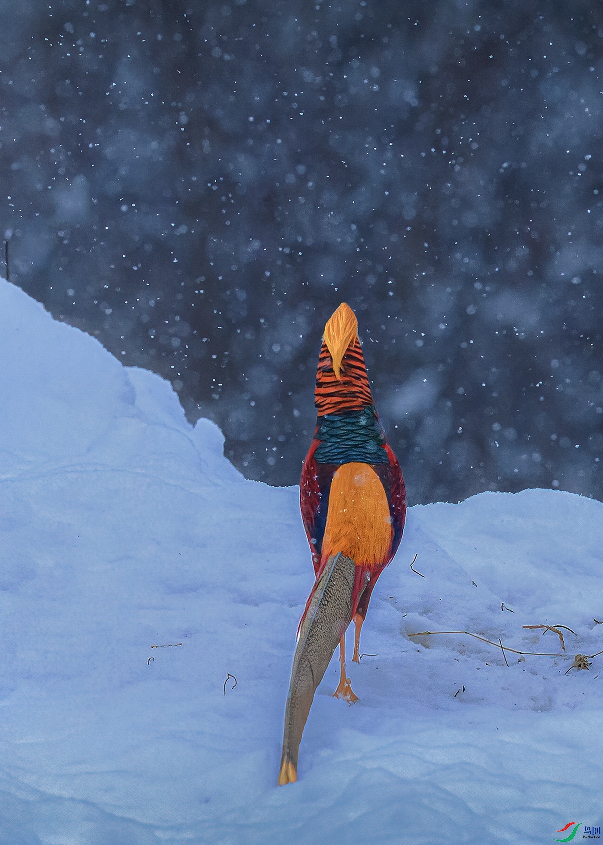 ������ƽ��ɽȪˮ�塣