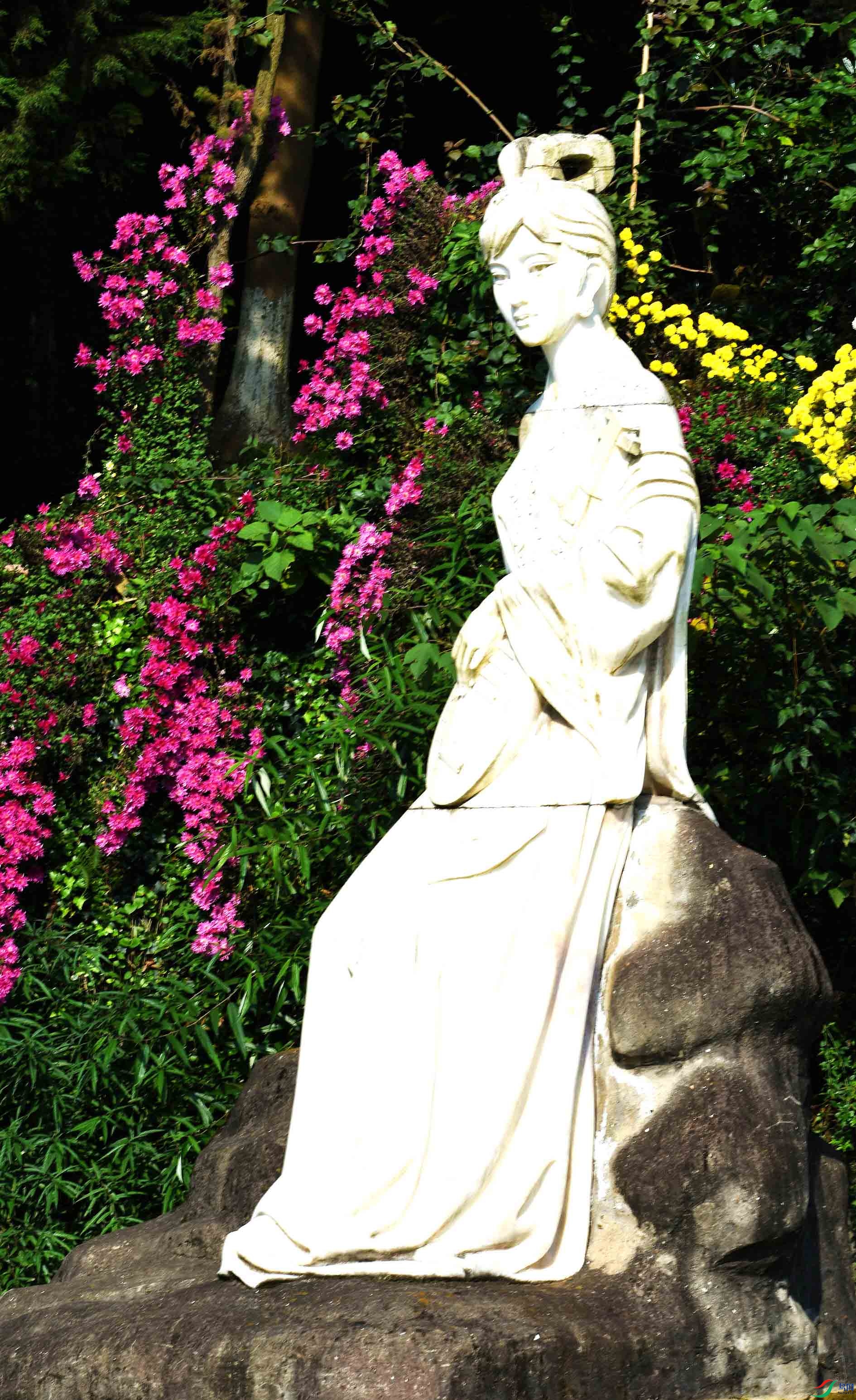 DSC_1956_����.jpg