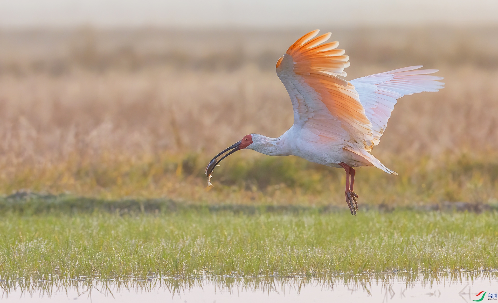 0D7A2683 ����.jpg2 ����.jpg