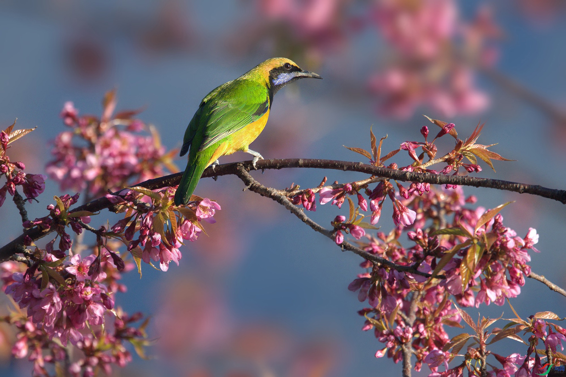 DSC_0612_.jpg
