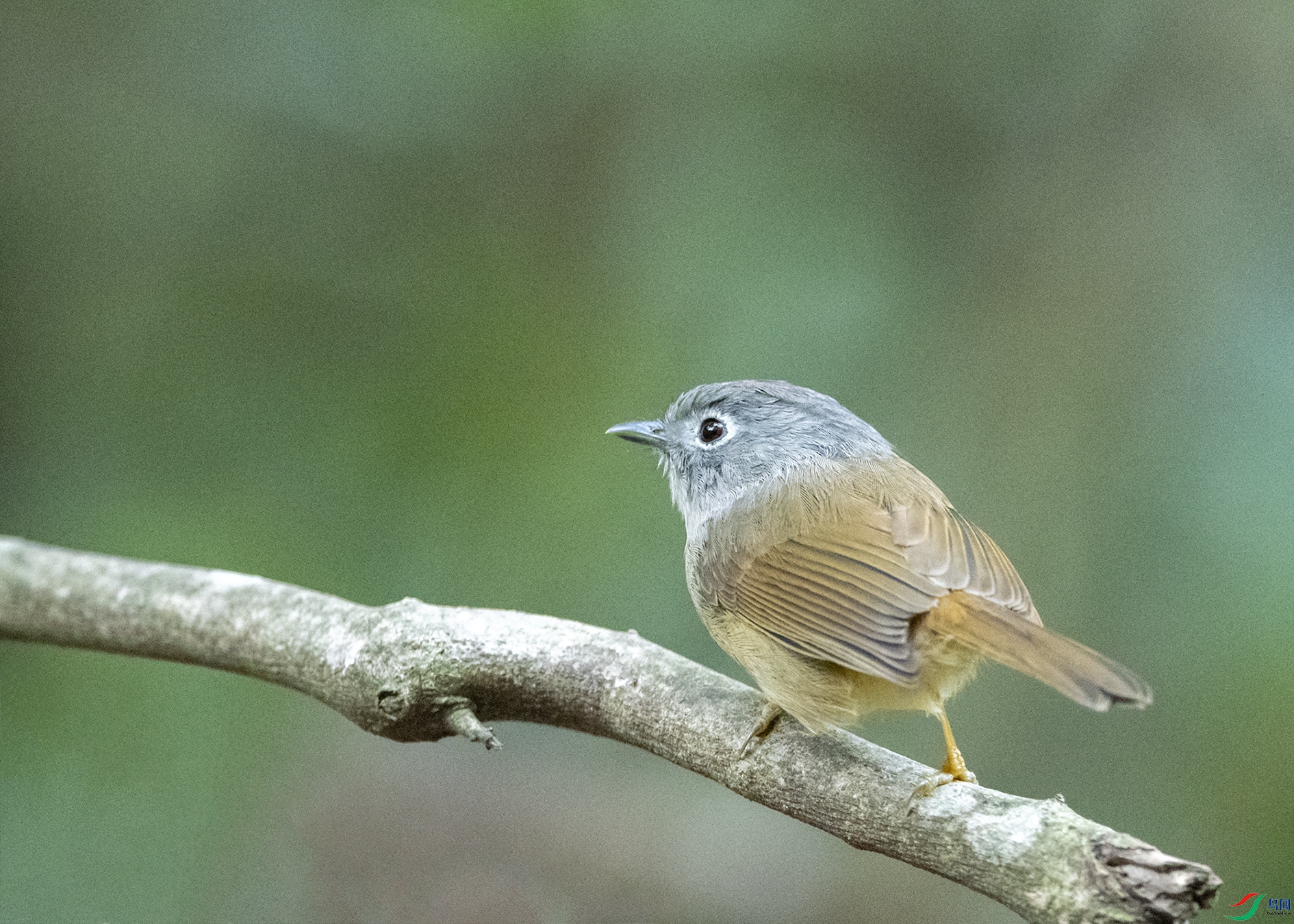 5239 ����.jpg