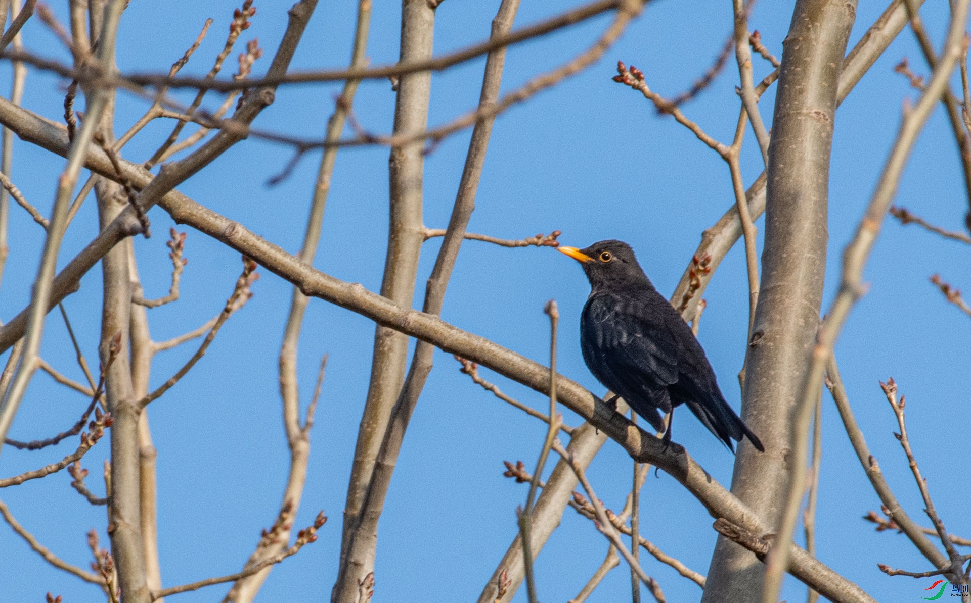 DSC_3461.jpg