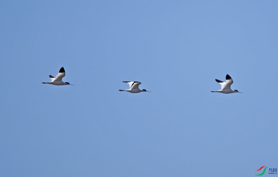 DSC_1063f.jpg
