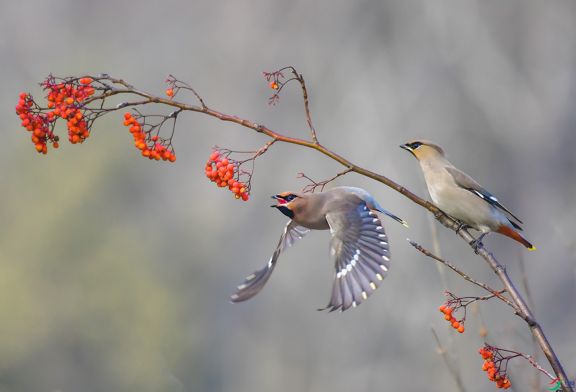 DSC_2140 -1.jpg