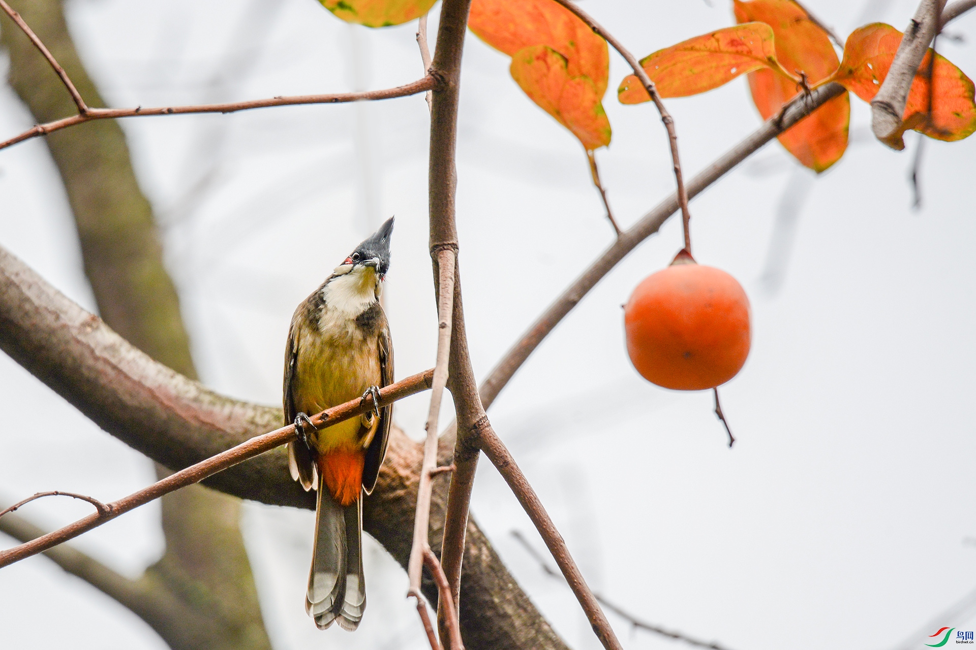 DSC_0706_����.jpg