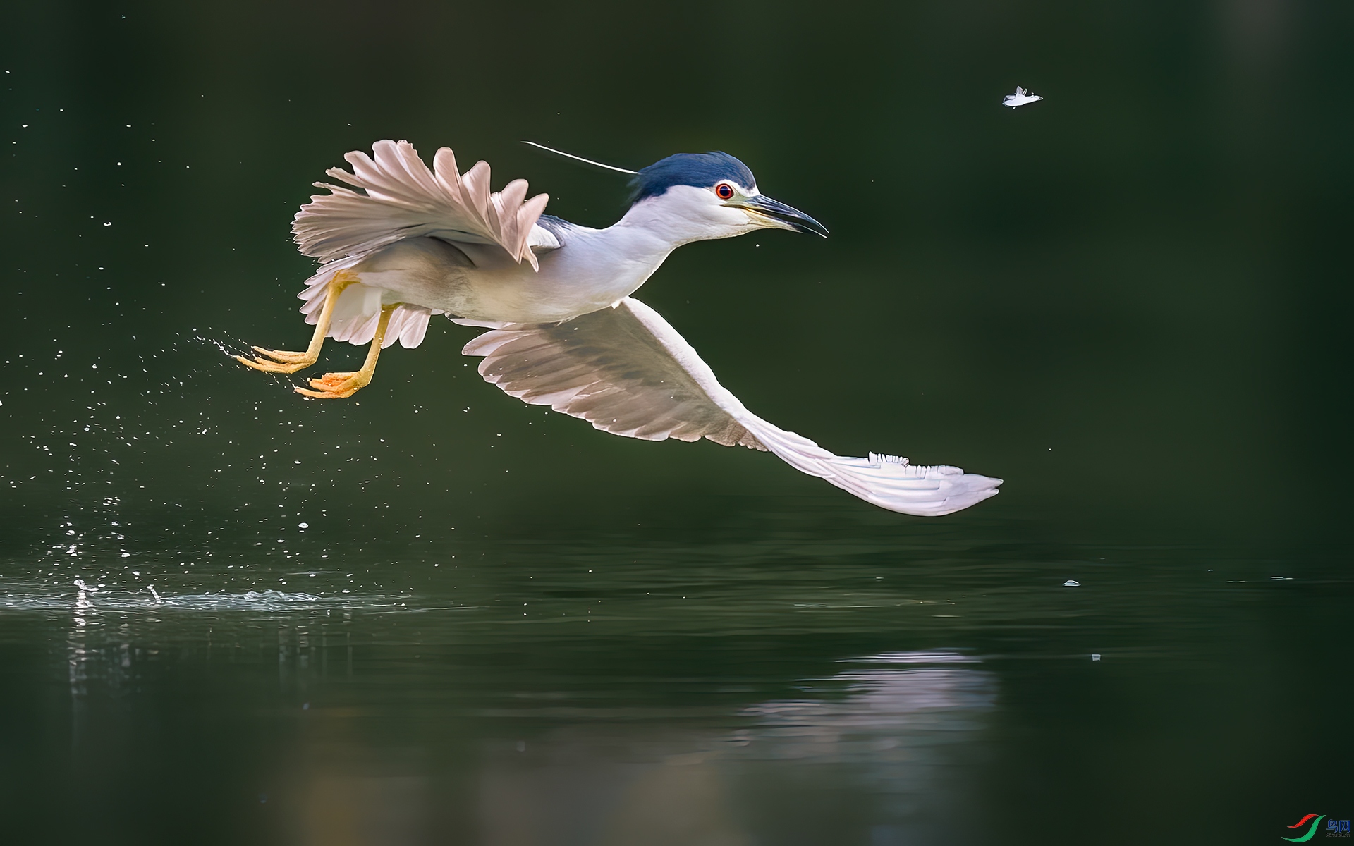 DSC_8095 ���� L.jpg