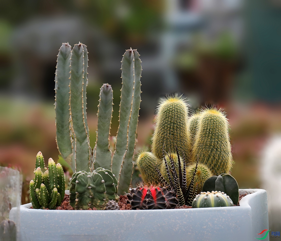 00000583A0621 ���� 800k.jpg