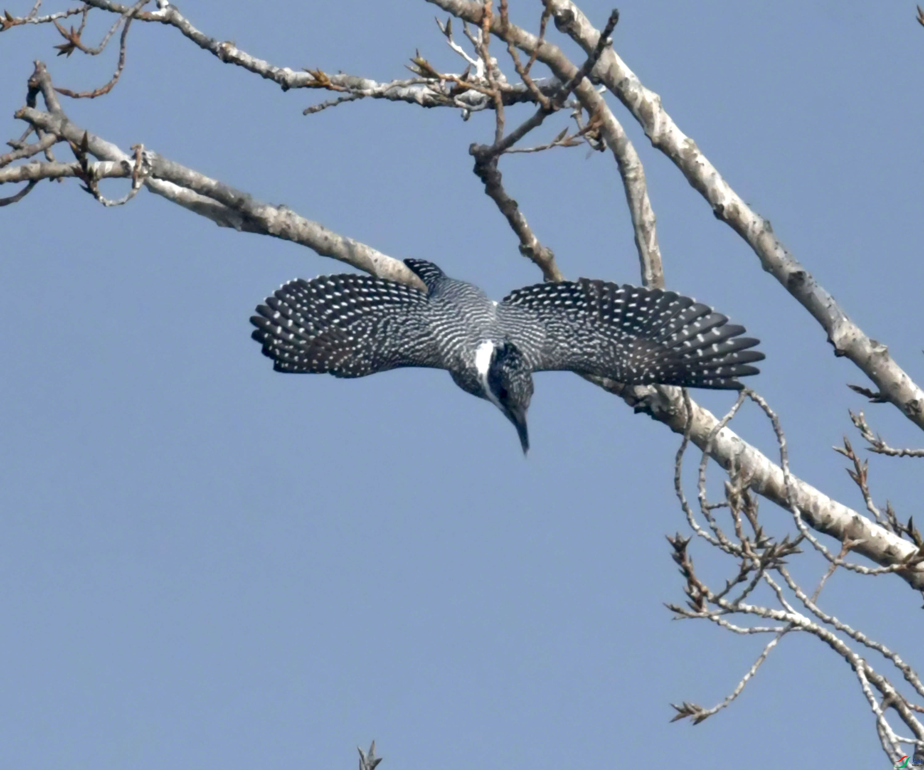 DSC_0167.JPG