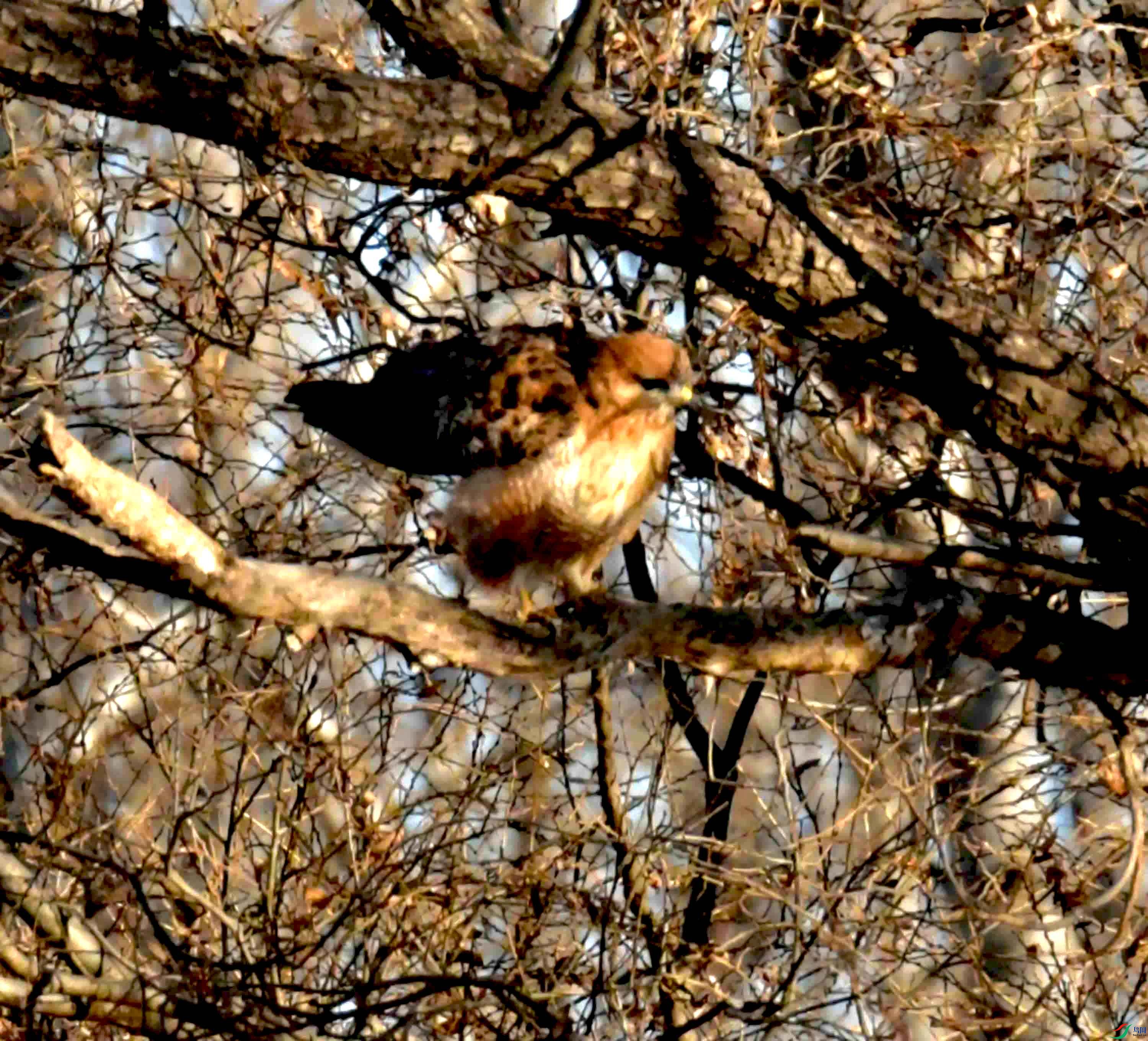 DSC_2501.JPG