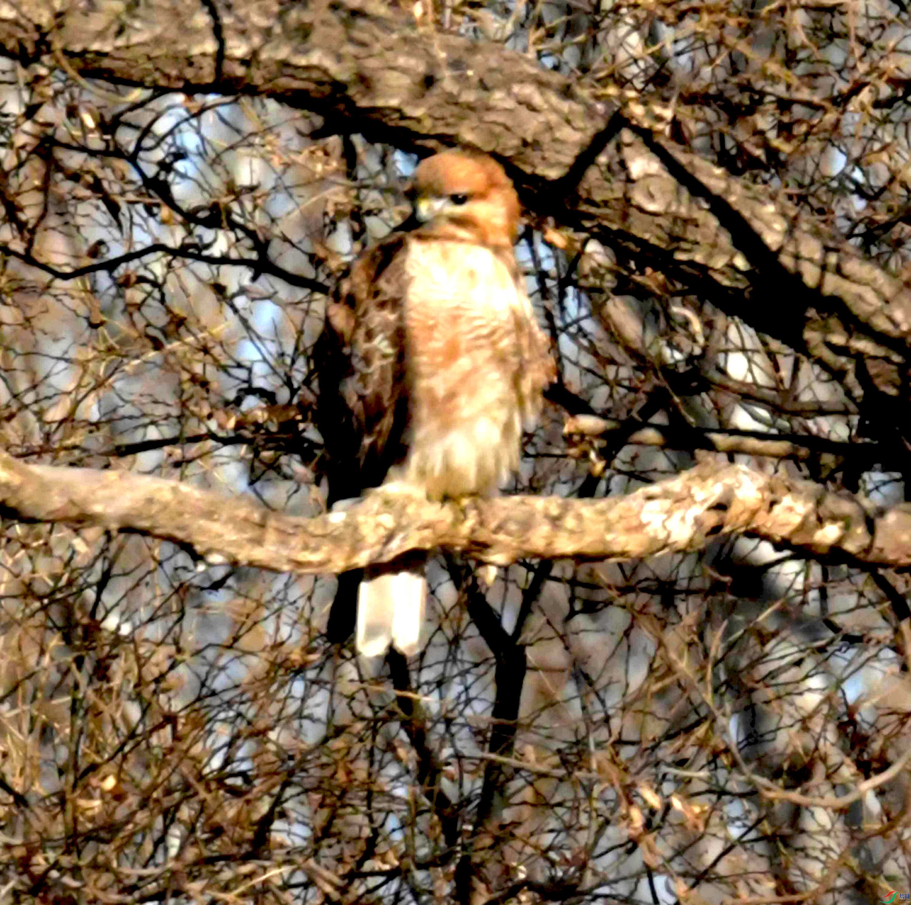 DSC_2667.JPG