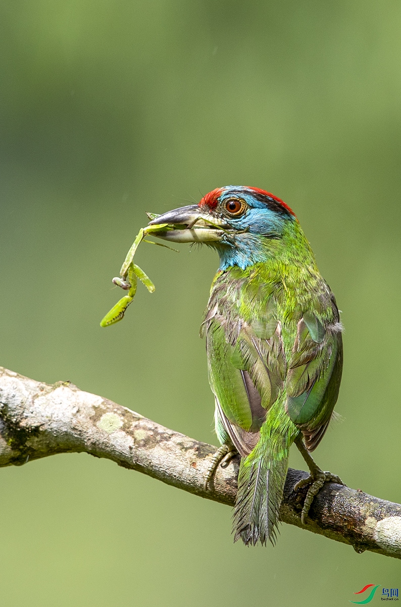 BD1I7914��������ľ�� (2).jpg