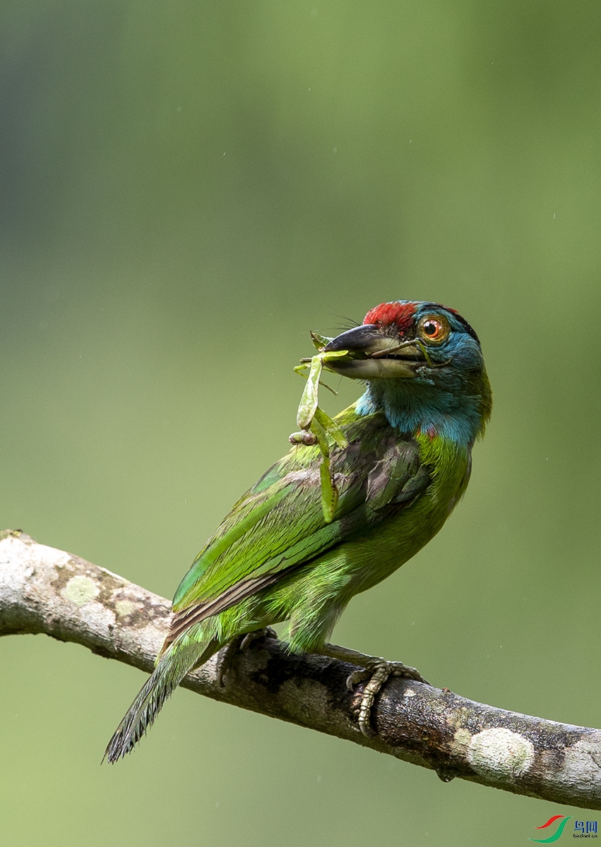 BD1I7914��������ľ�� (1).jpg