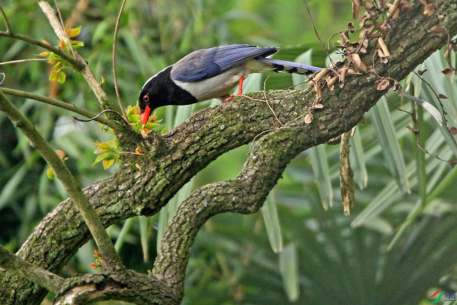 IMG_8641.jpg