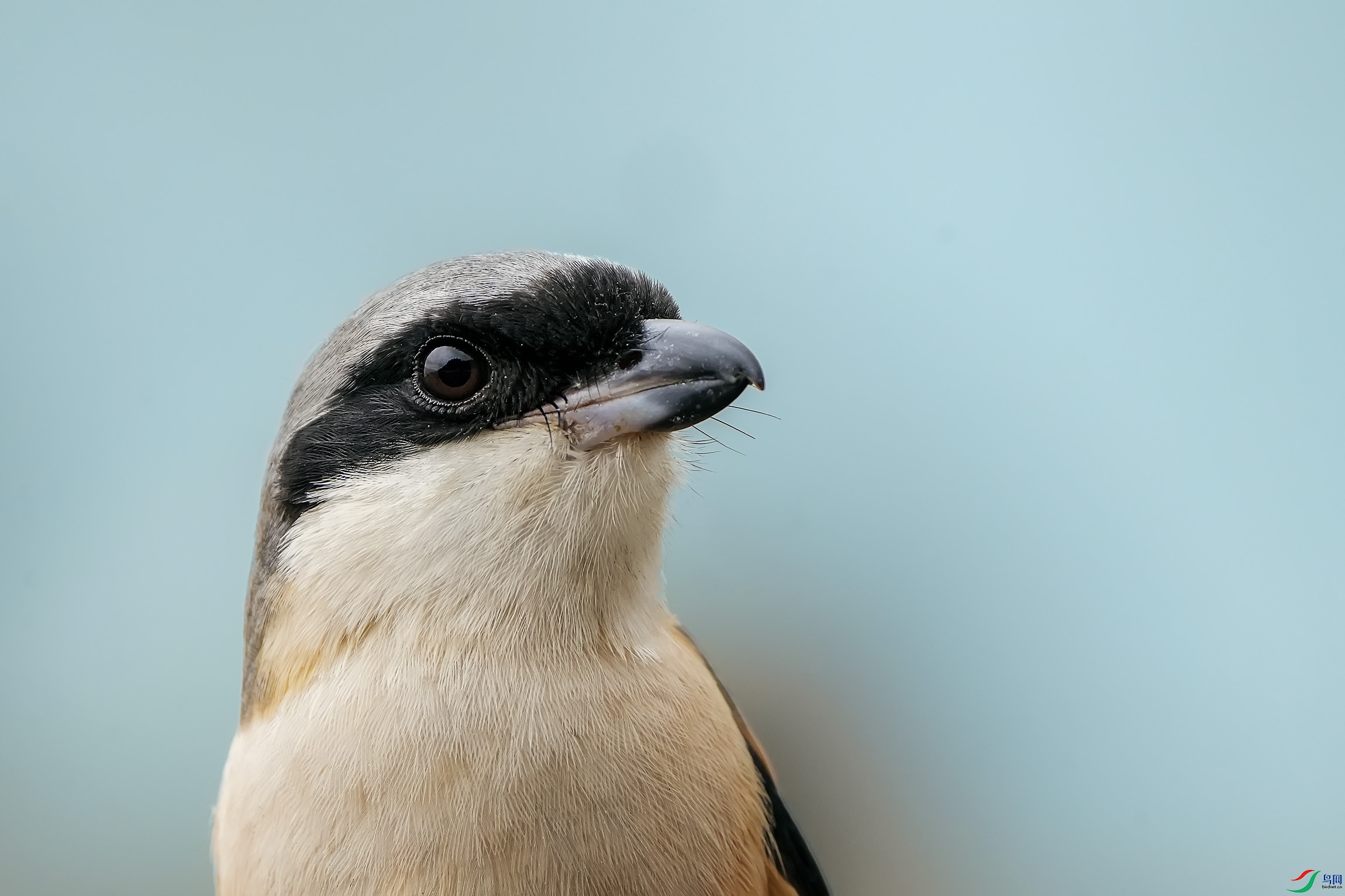 DSC00645 ����.jpg