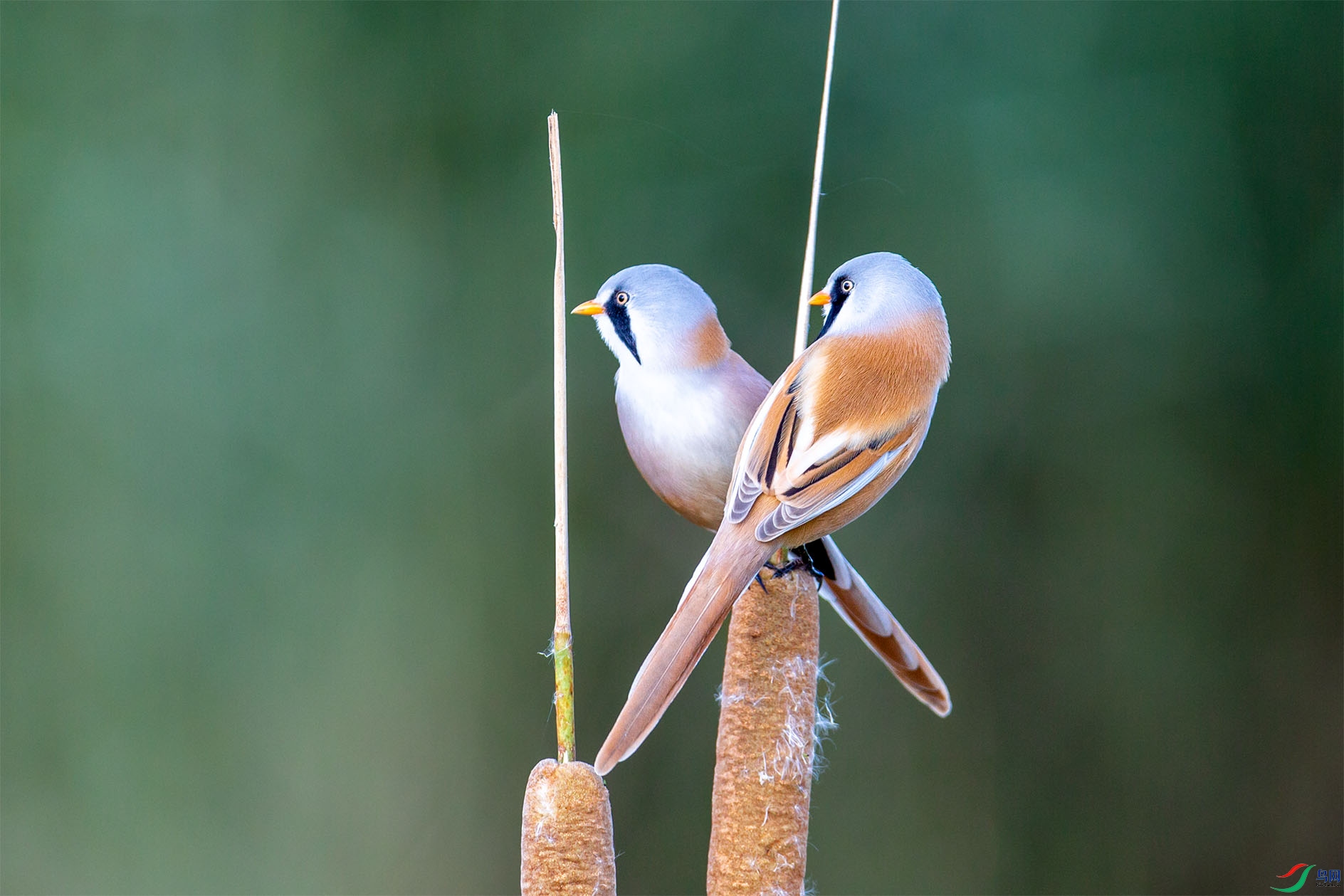 1S4C3315 ����.jpg