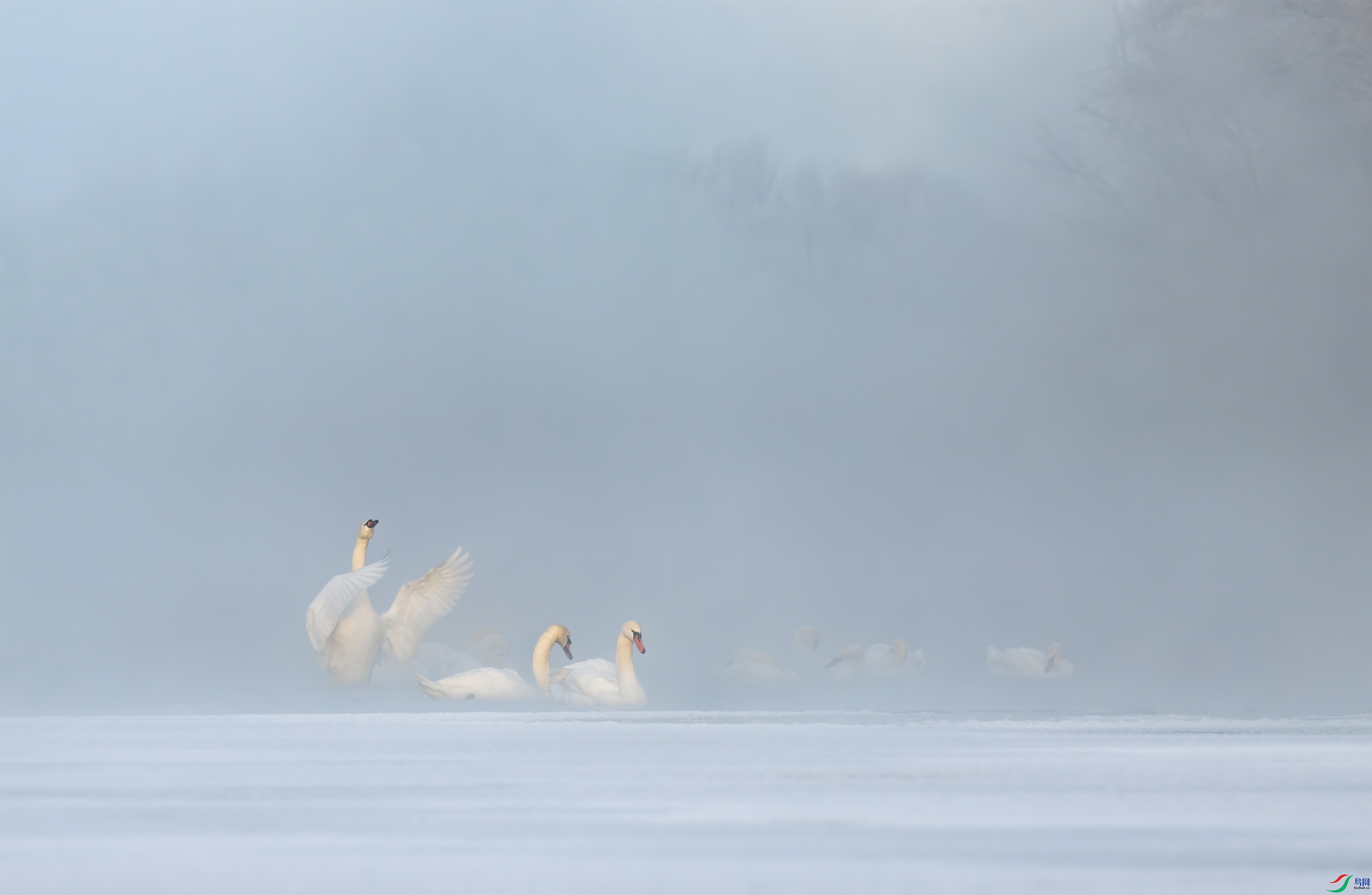 DSC_2222-21.jpg
