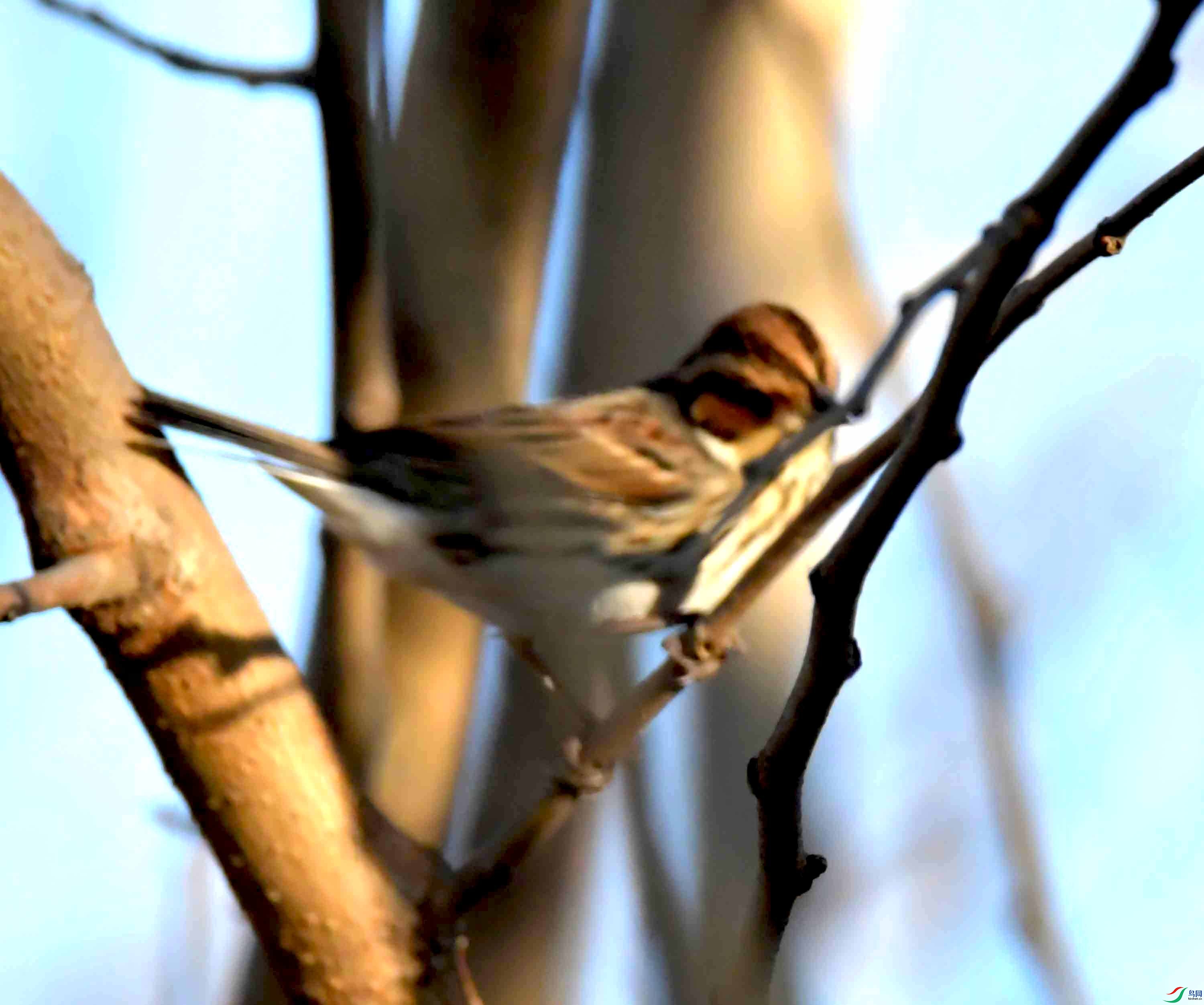 DSC_1922.JPG