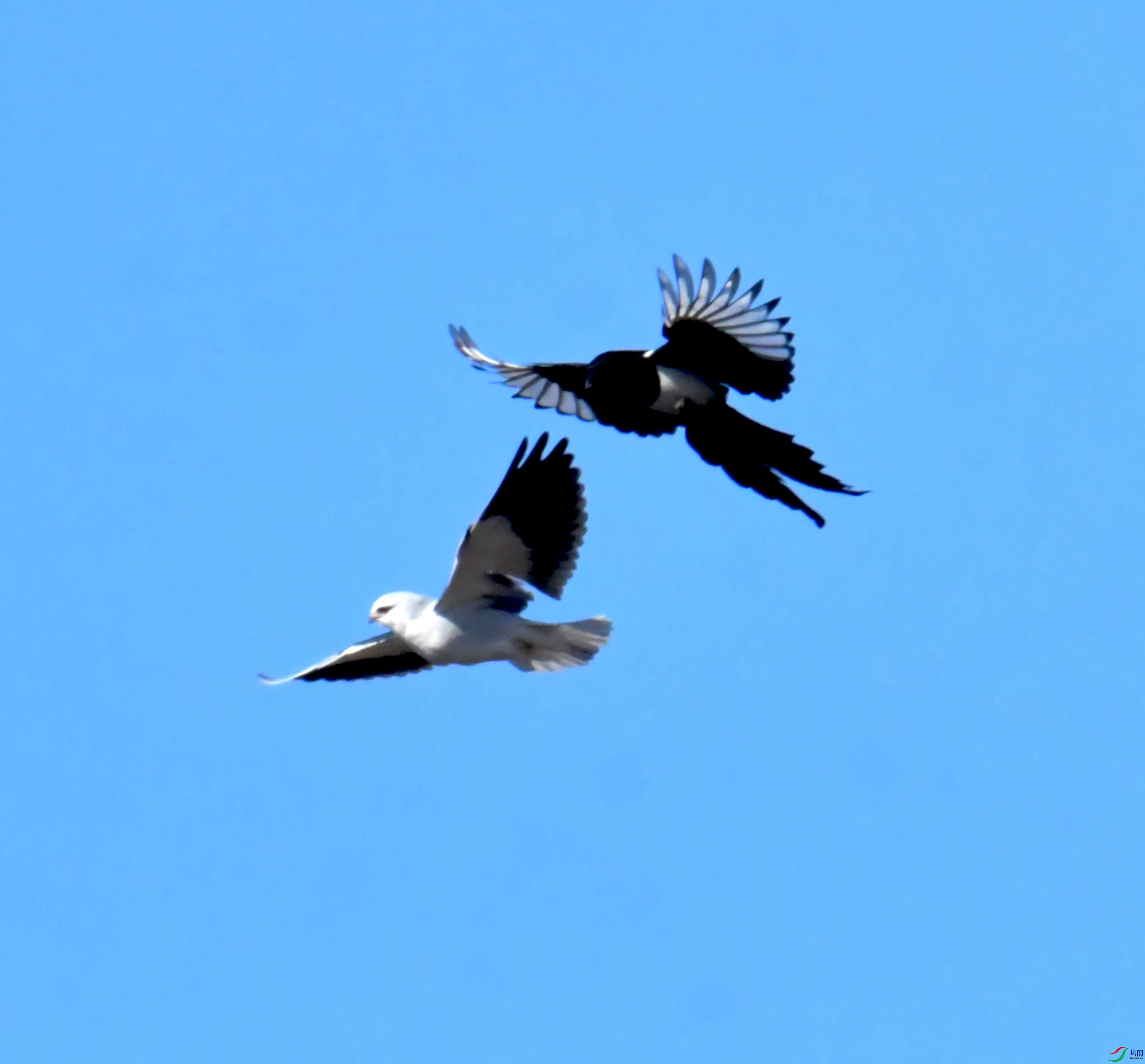 DSC_0944.JPG