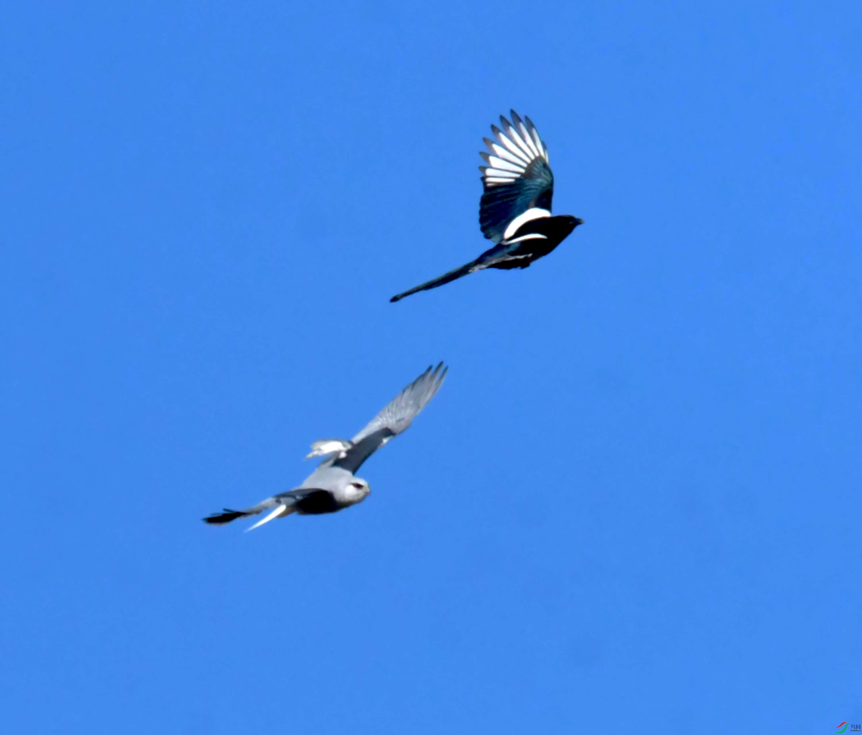 DSC_0941.JPG