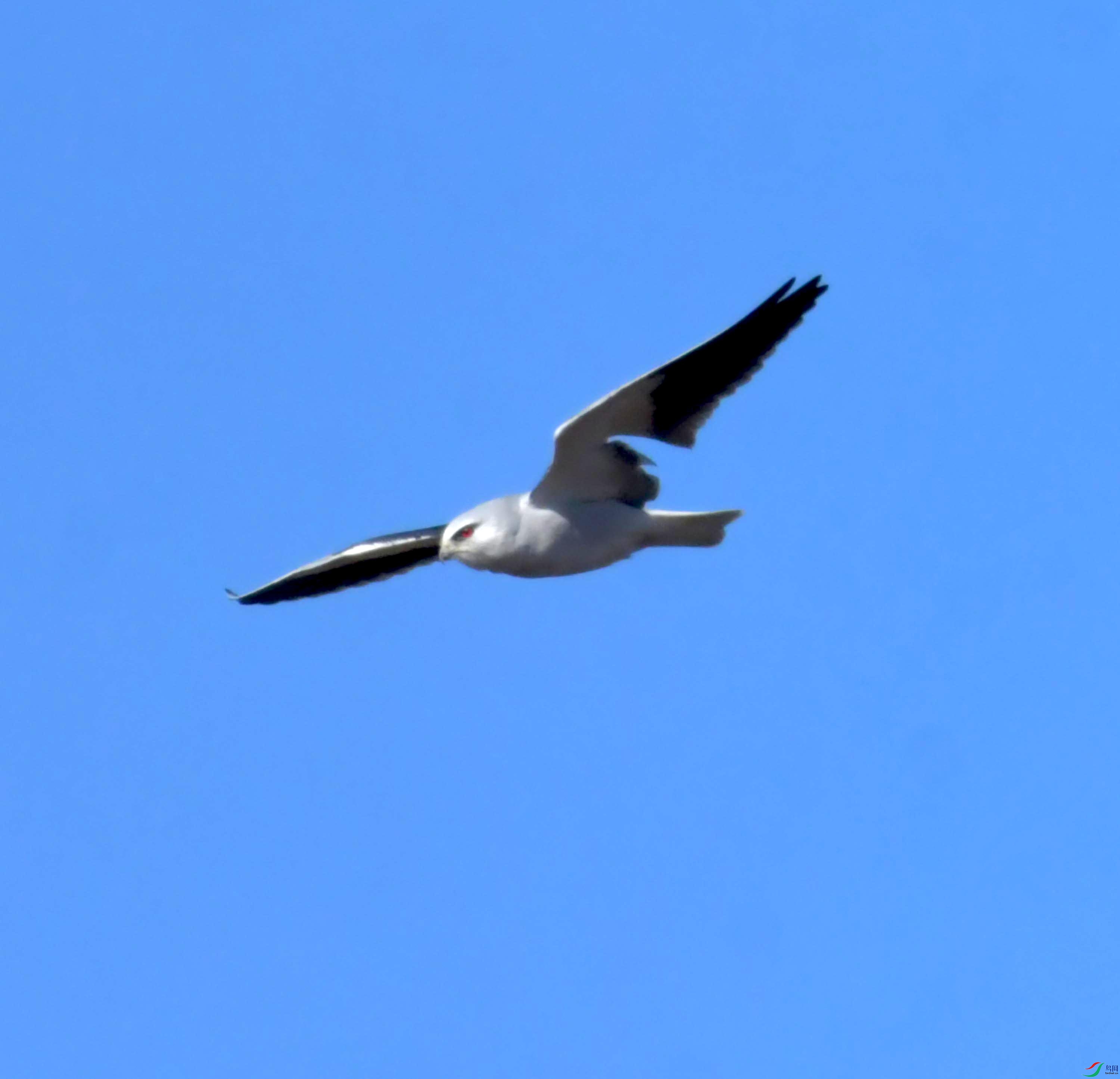 DSC_0958.JPG