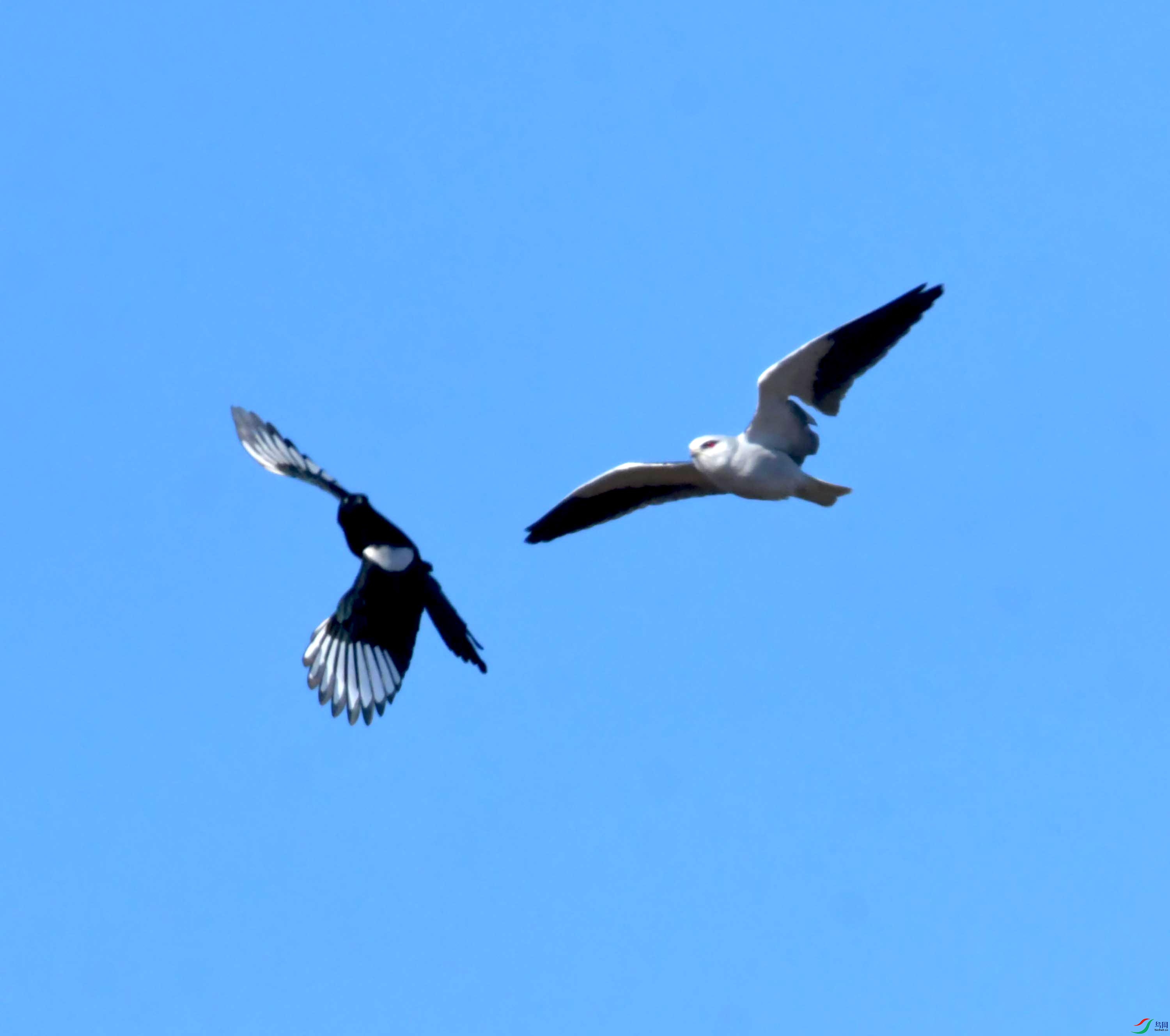 DSC_0955.JPG