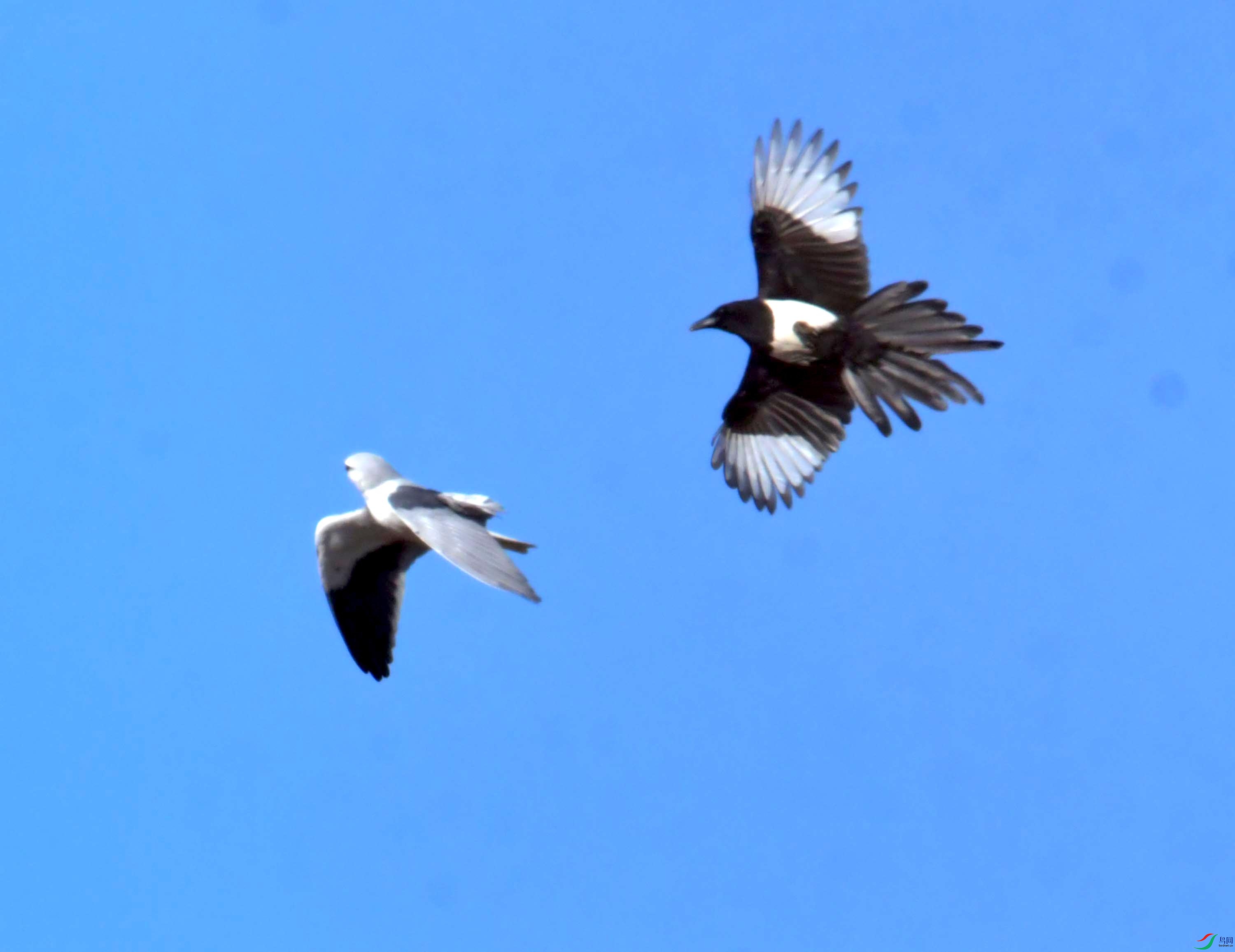 DSC_0959.JPG