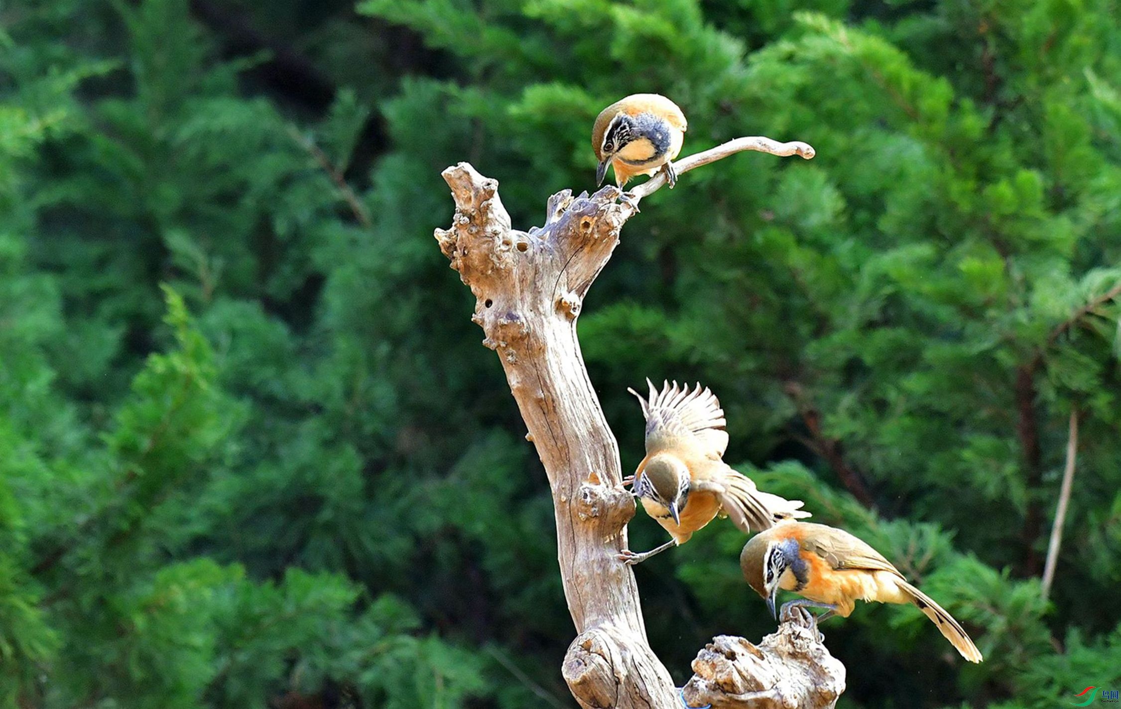 ����ʱ�⡣