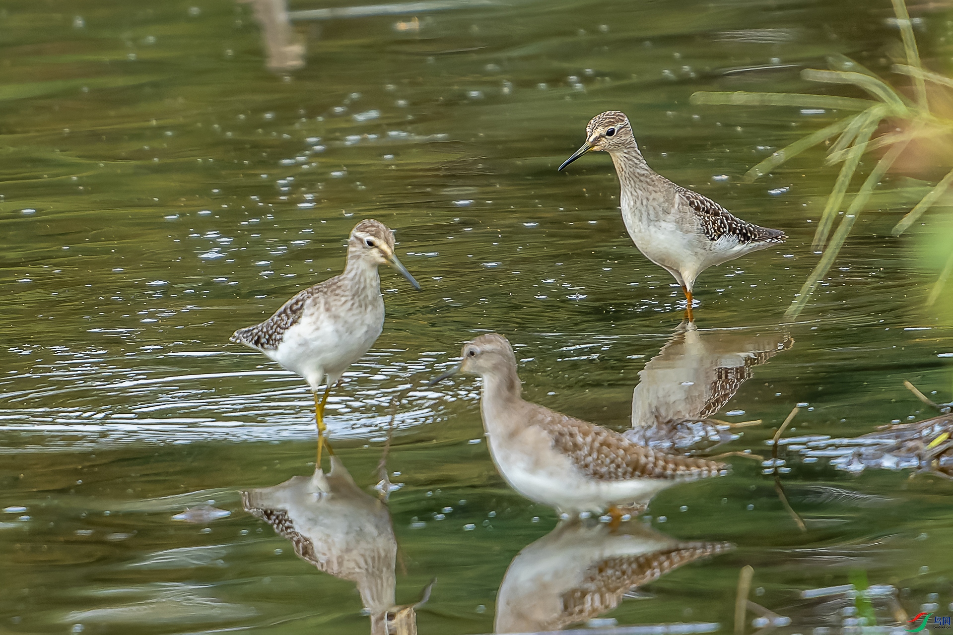 DSC09475-ARW_DxO_DeepPRIME-1-2.jpg