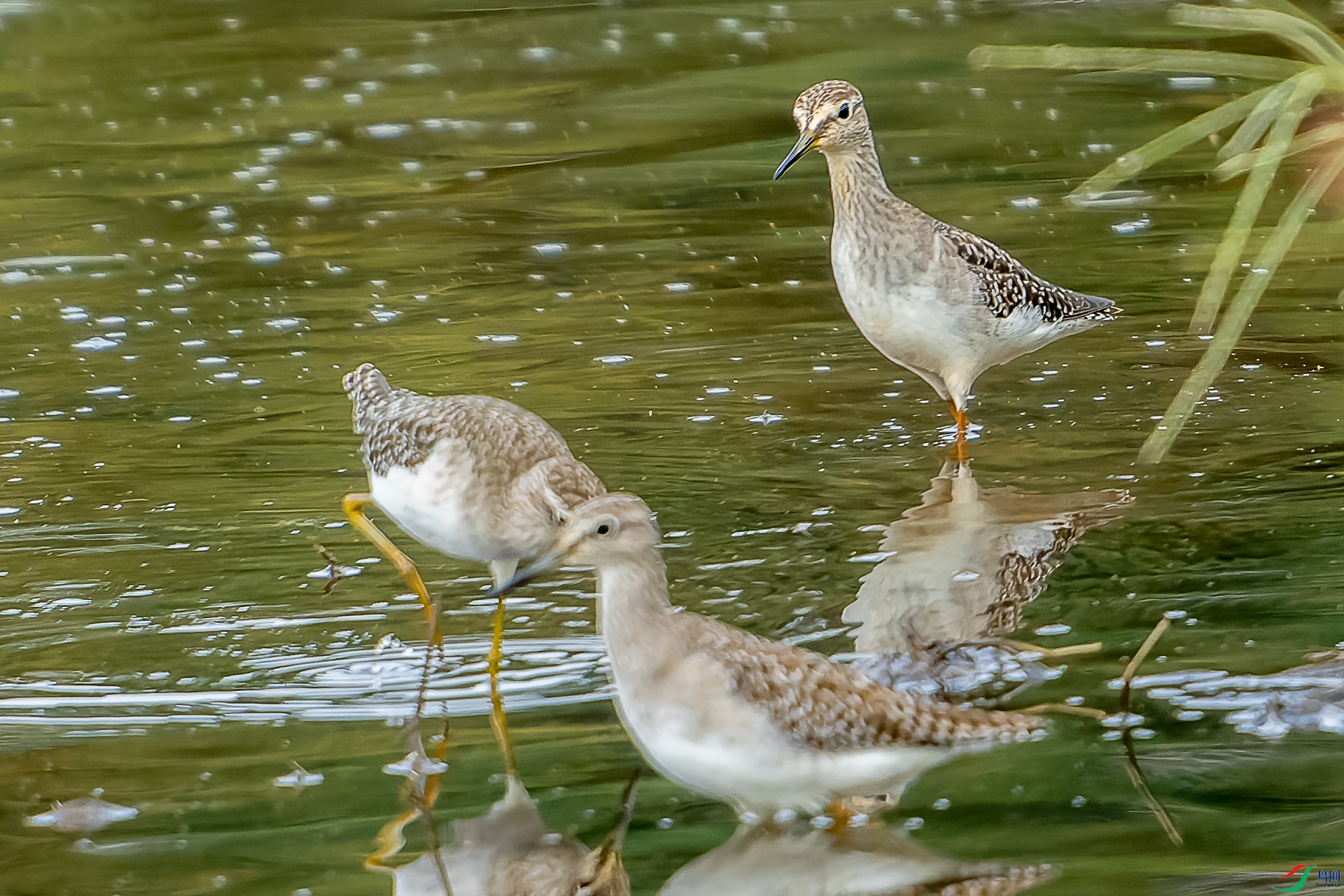 DSC09476-ARW_DxO_DeepPRIME-1.jpg