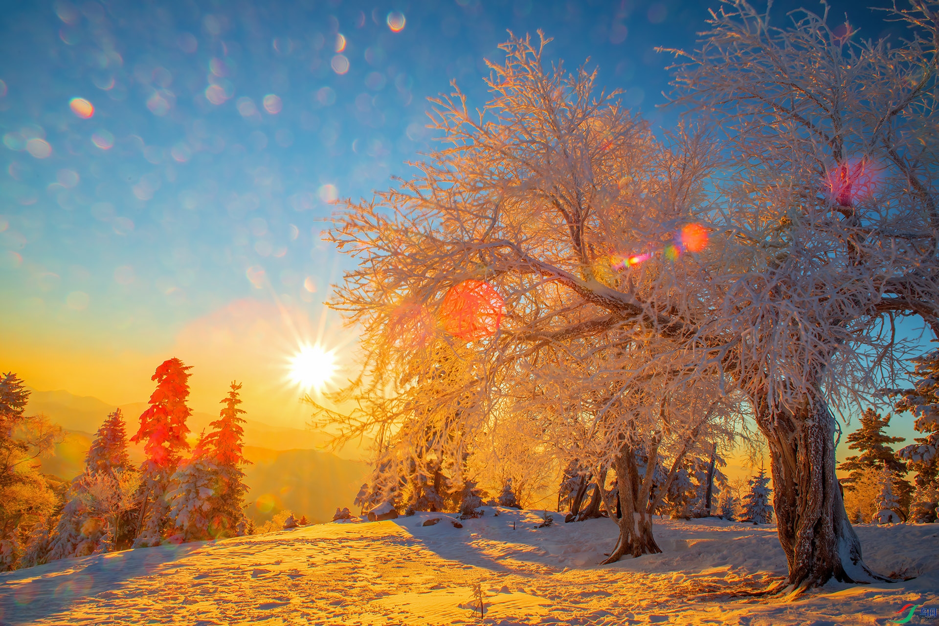 ���ž��Ǿ�Ƭ��˪�����Ĺ���