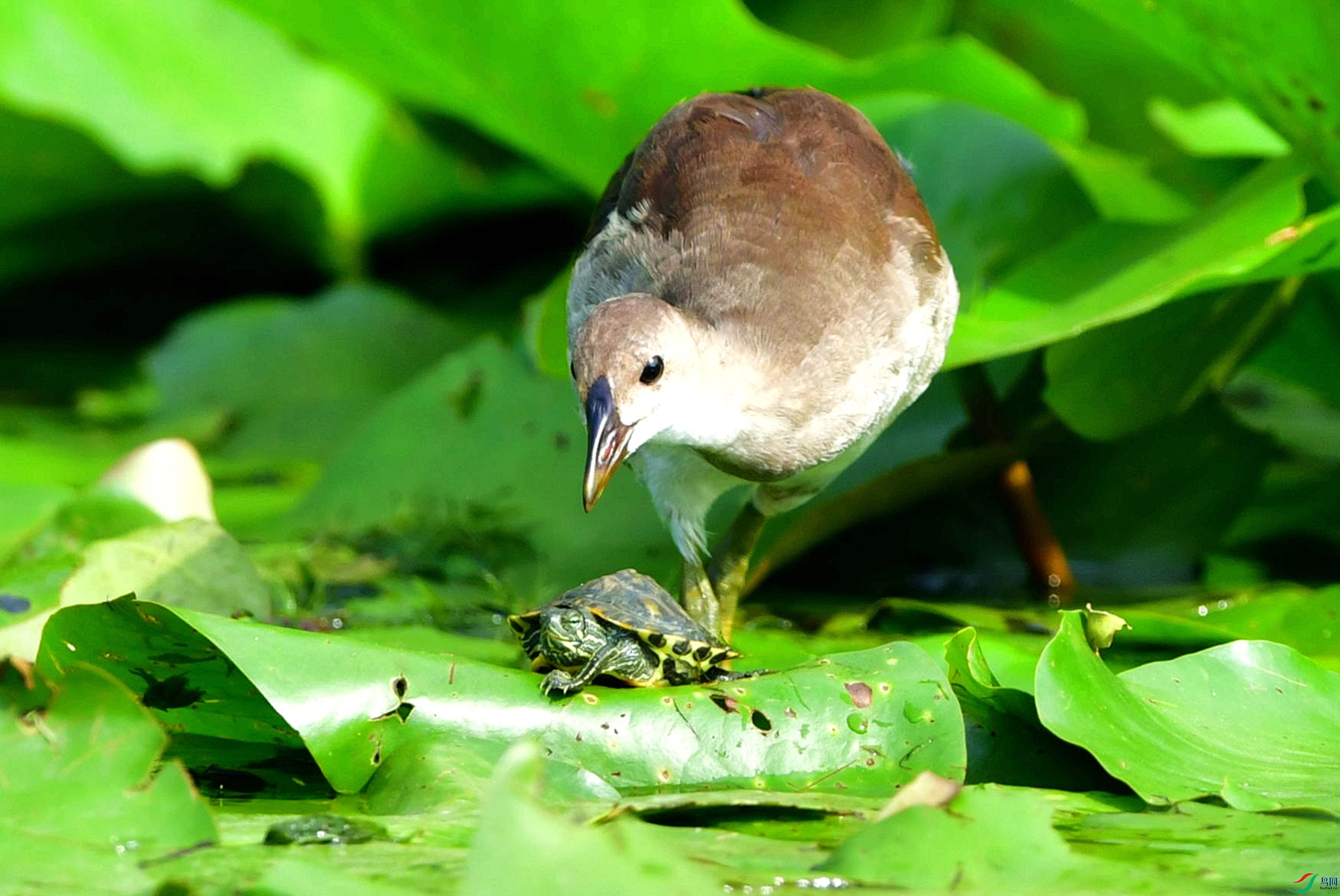 ����ͬ�֡�