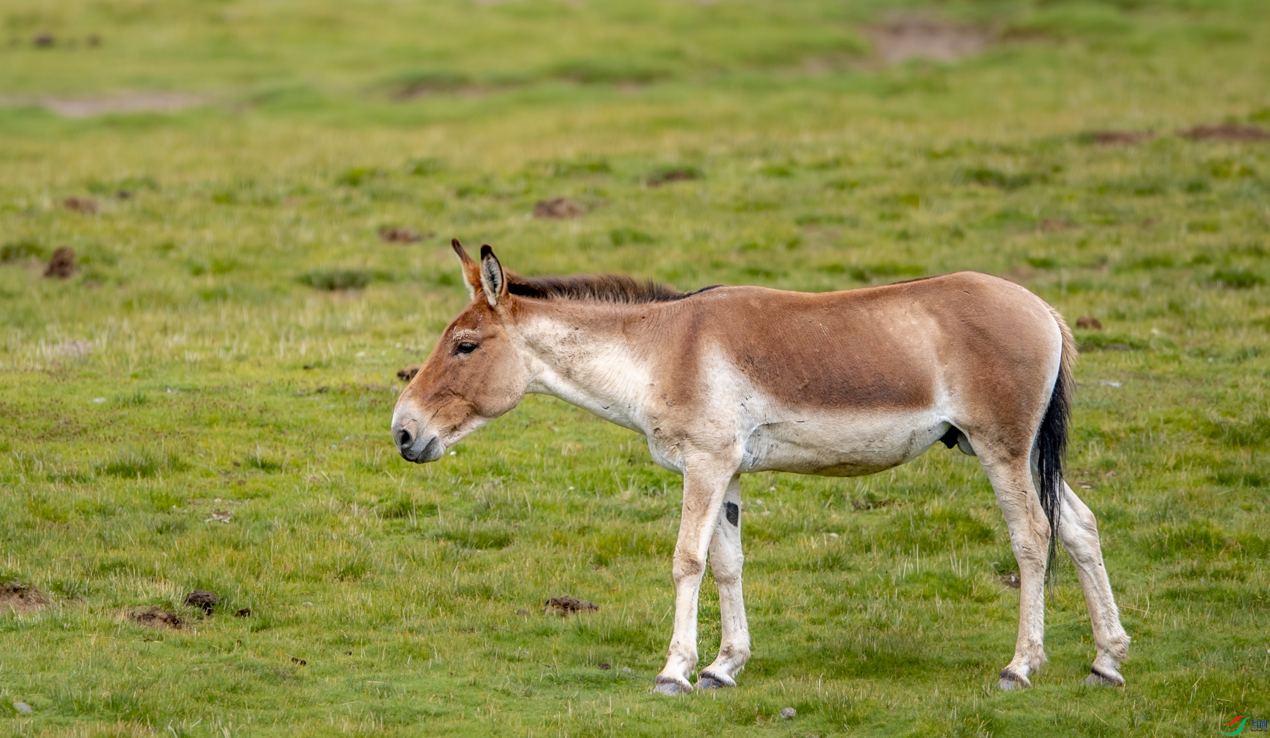 DSC_7821��Ұ¿.JPG