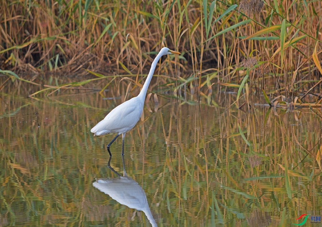 DSC_0430.jpg