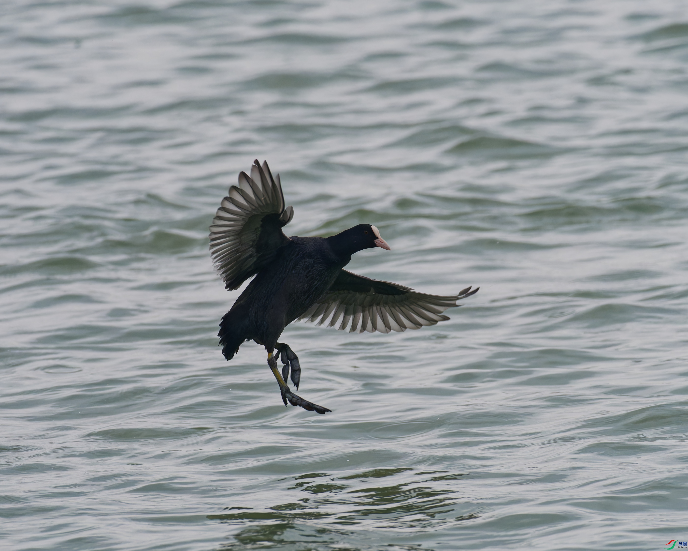 PC290498_DxO_DxO.jpg