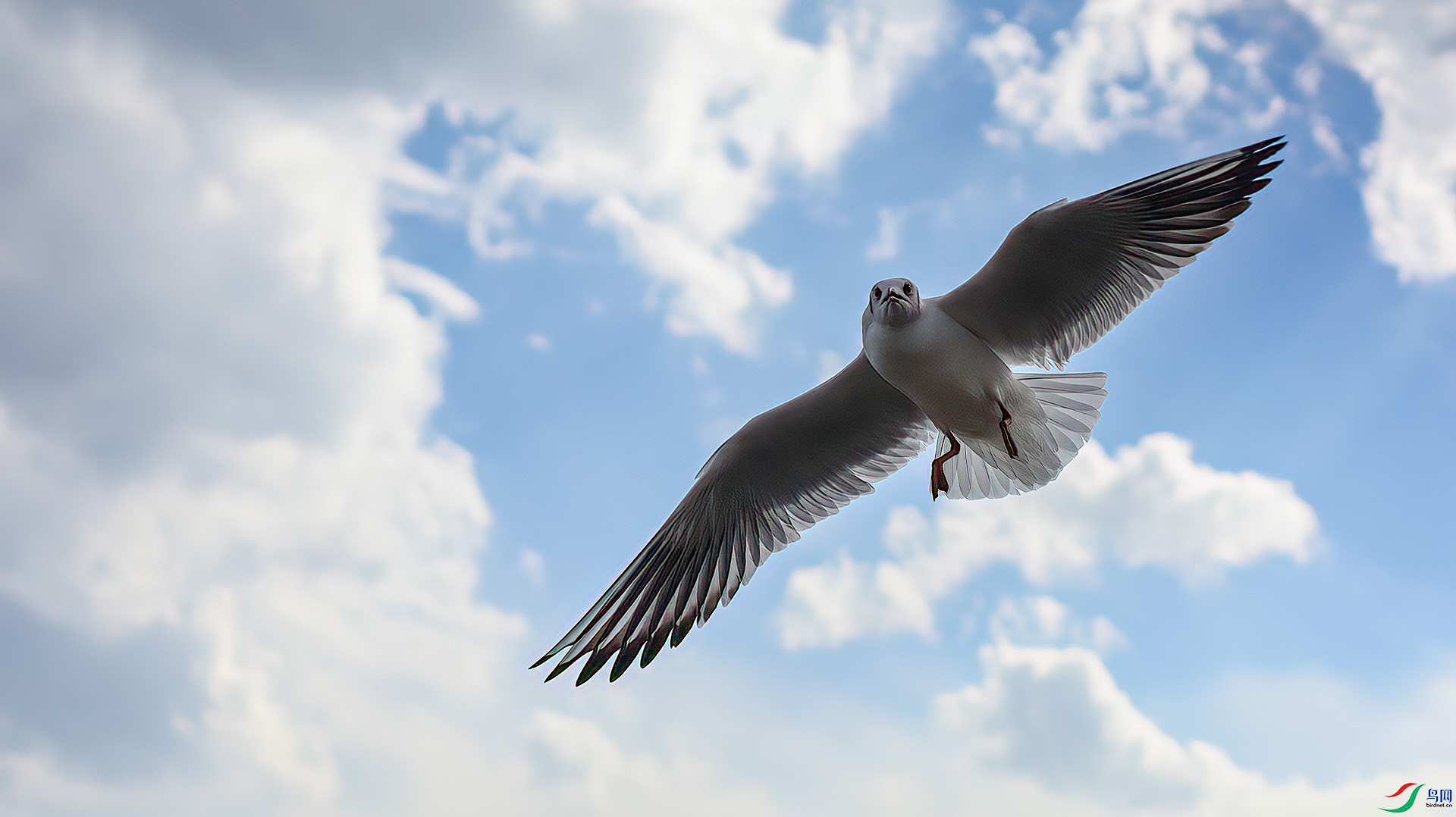 ��������ա� �춫 �� �Ϻ����������·1625��3��¥��¥ 201101 109011581@qq.com.JPG