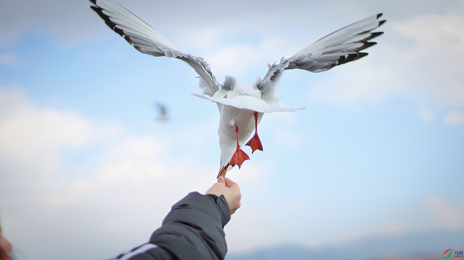 ���Ѻ��ദ���춫 �� �Ϻ����������͵�·2762��5��¥���� 200000 109011581@qq.com.JPG