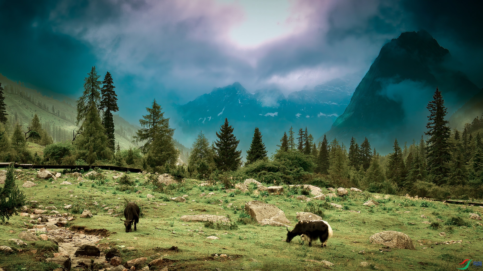 8LG_4411-���� ����.jpg